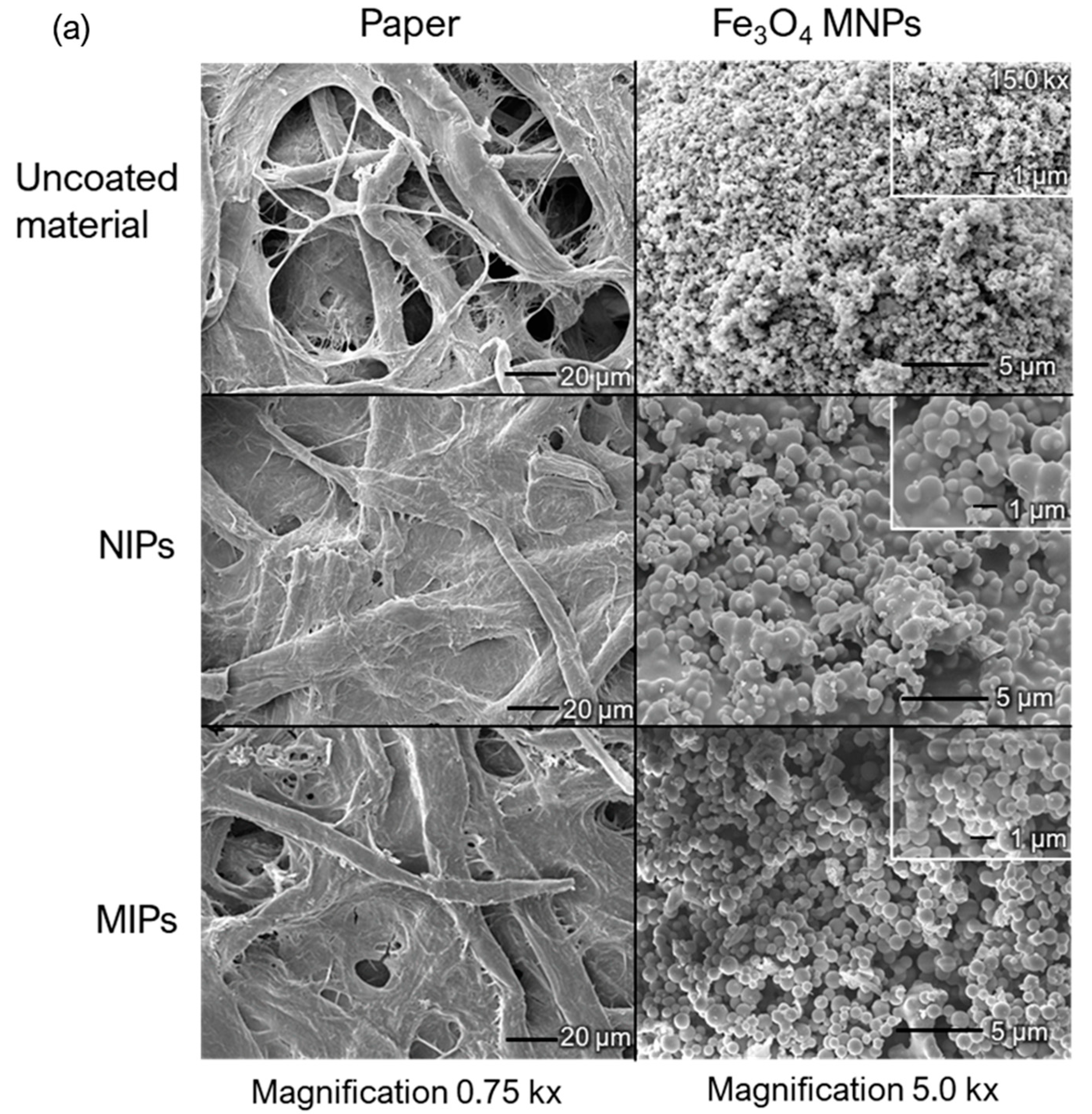 Ijms 24 07870 g006a Ijms 24 07870 g006a