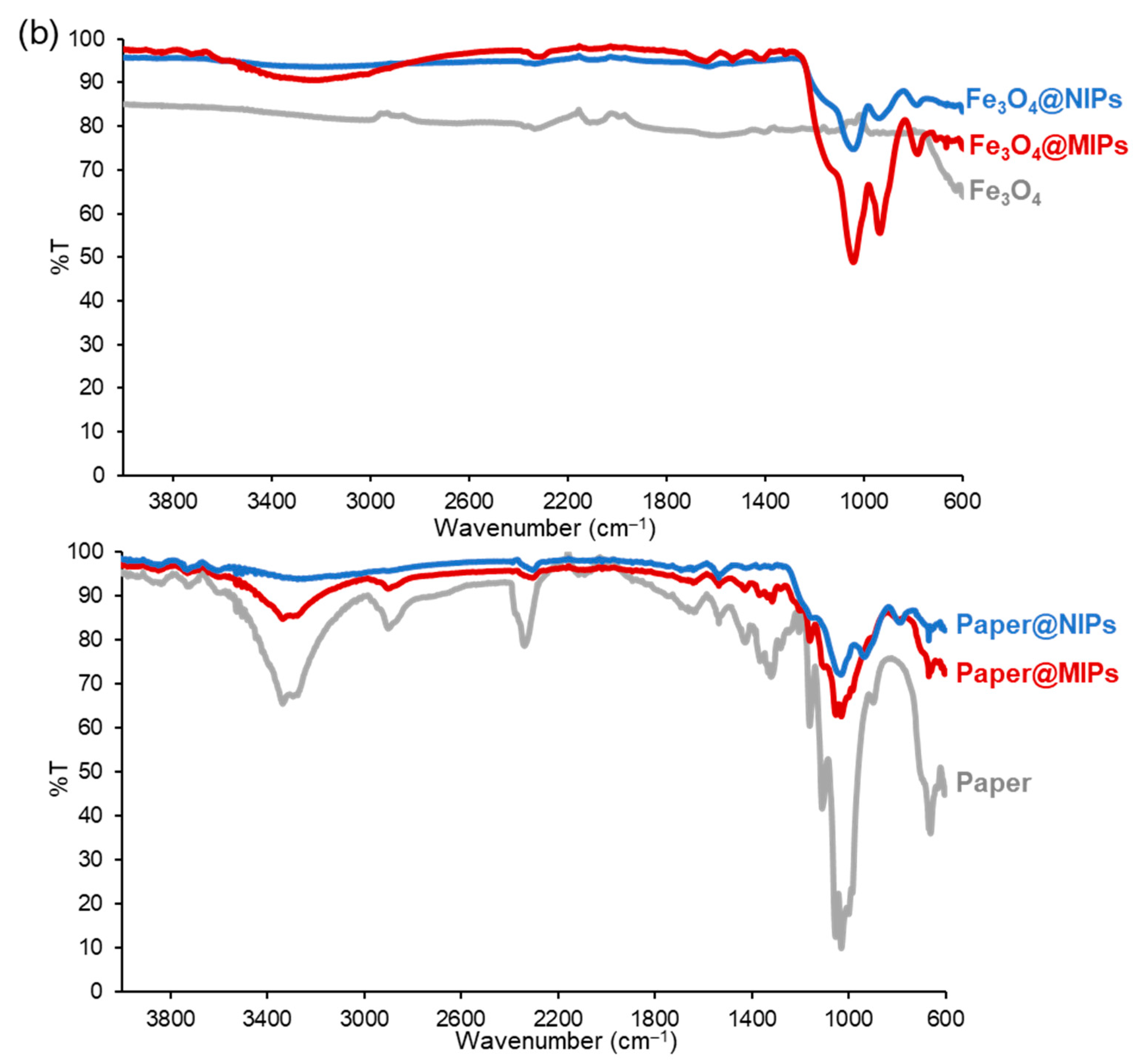Ijms 24 07870 g006b Ijms 24 07870 g006b