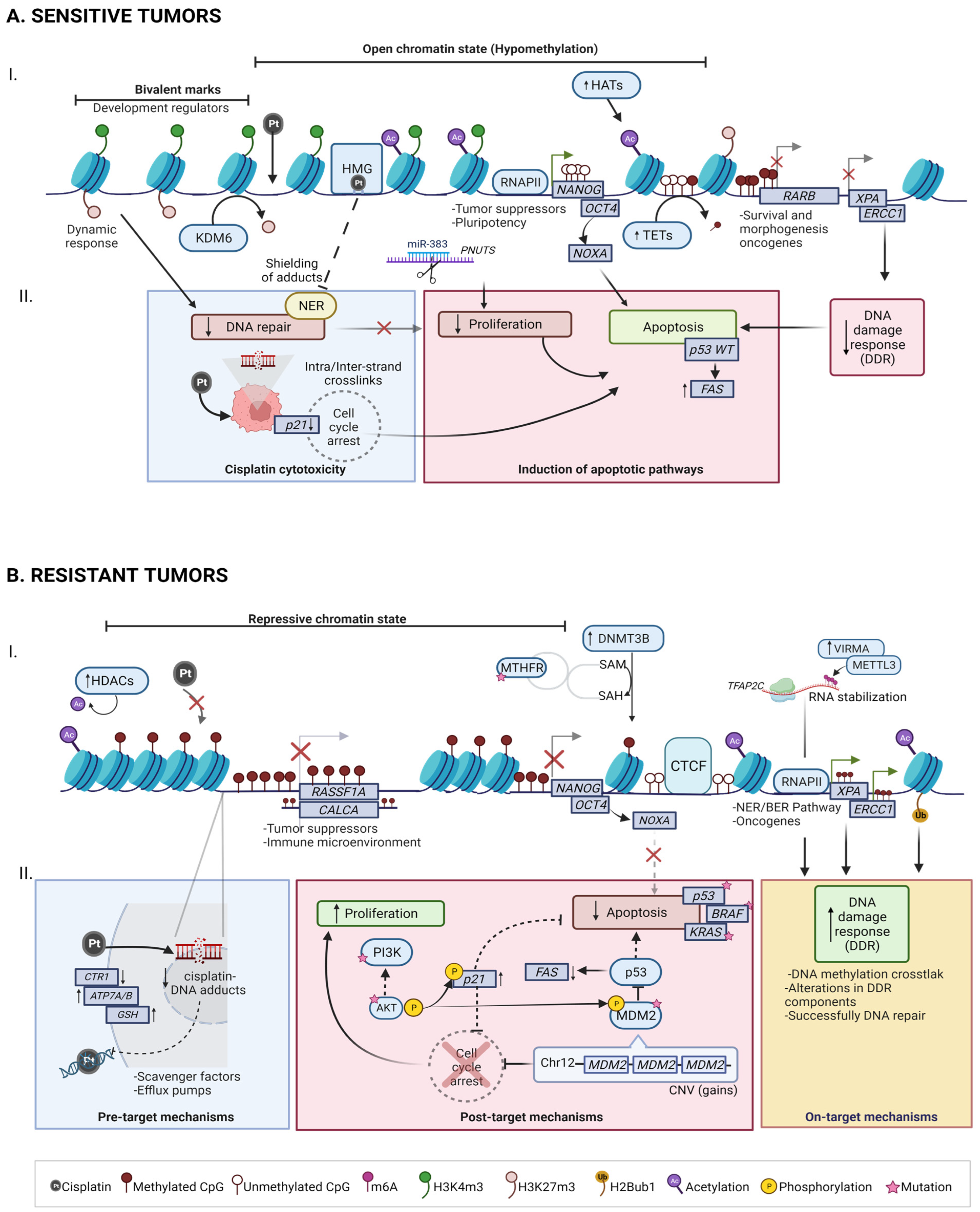 Ijms 24 07873 g001 Ijms 24 07873 g001