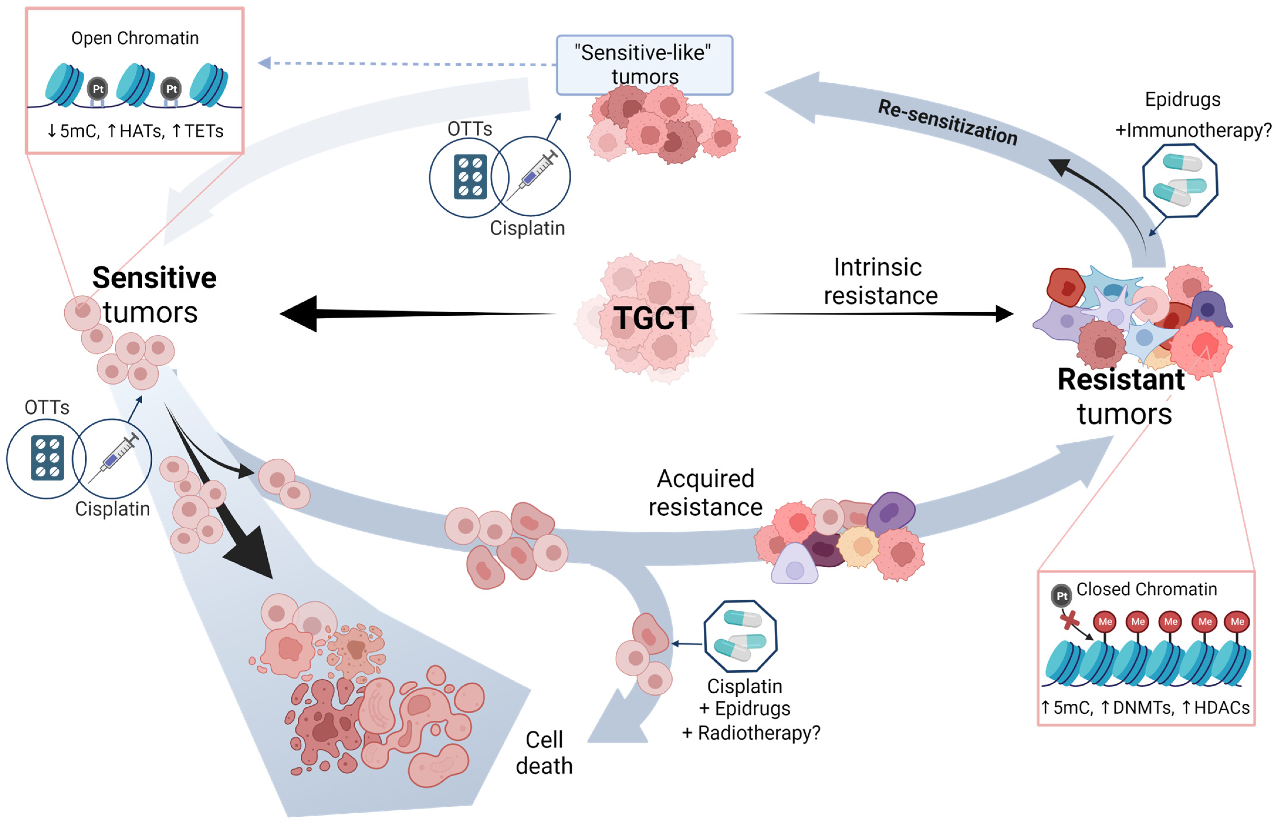 Ijms 24 07873 g002 Ijms 24 07873 g002