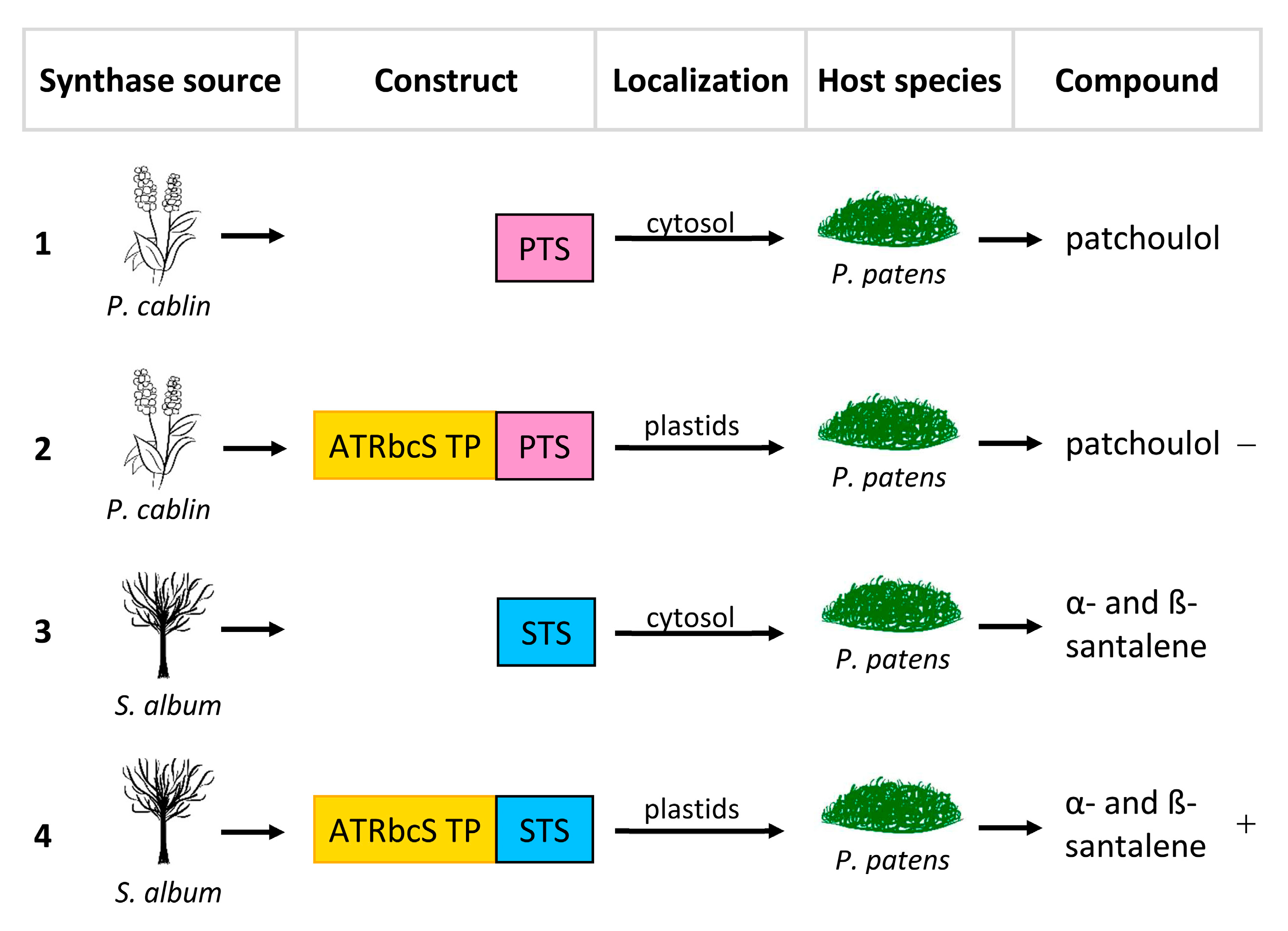 Ijms 24 07874 g003 Ijms 24 07874 g003