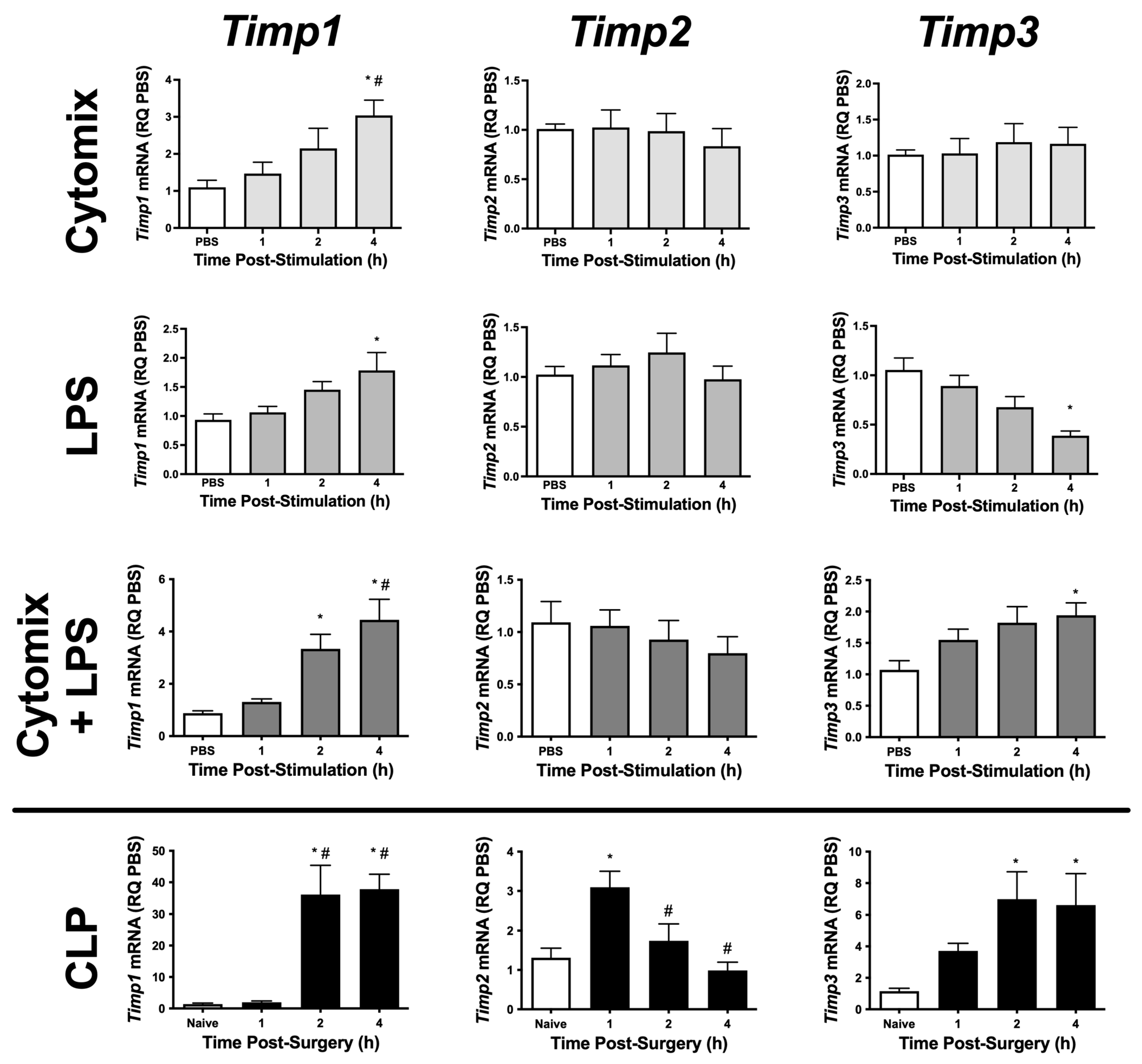 Ijms 24 07875 g001 Ijms 24 07875 g001