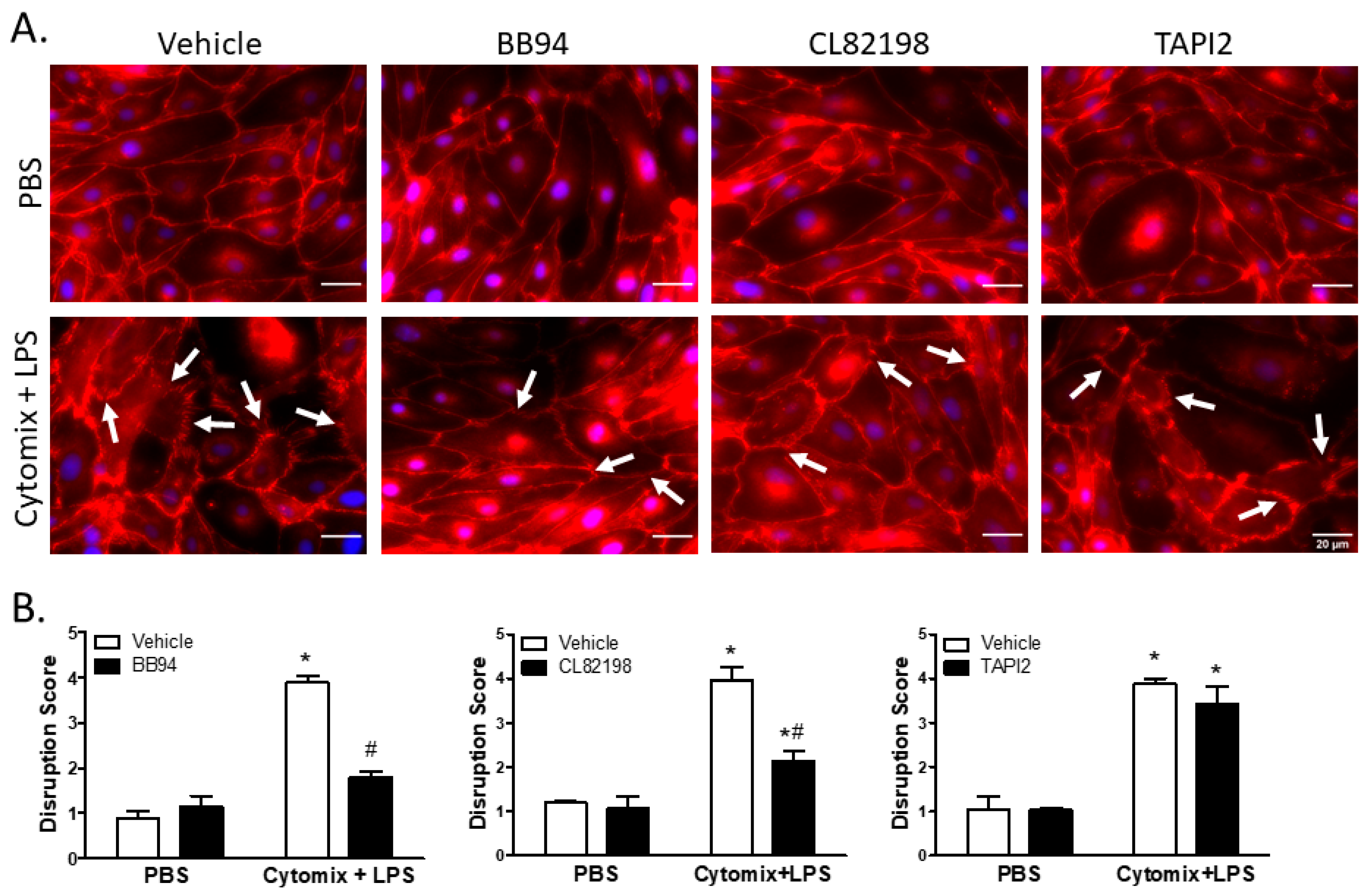 Ijms 24 07875 g006 Ijms 24 07875 g006