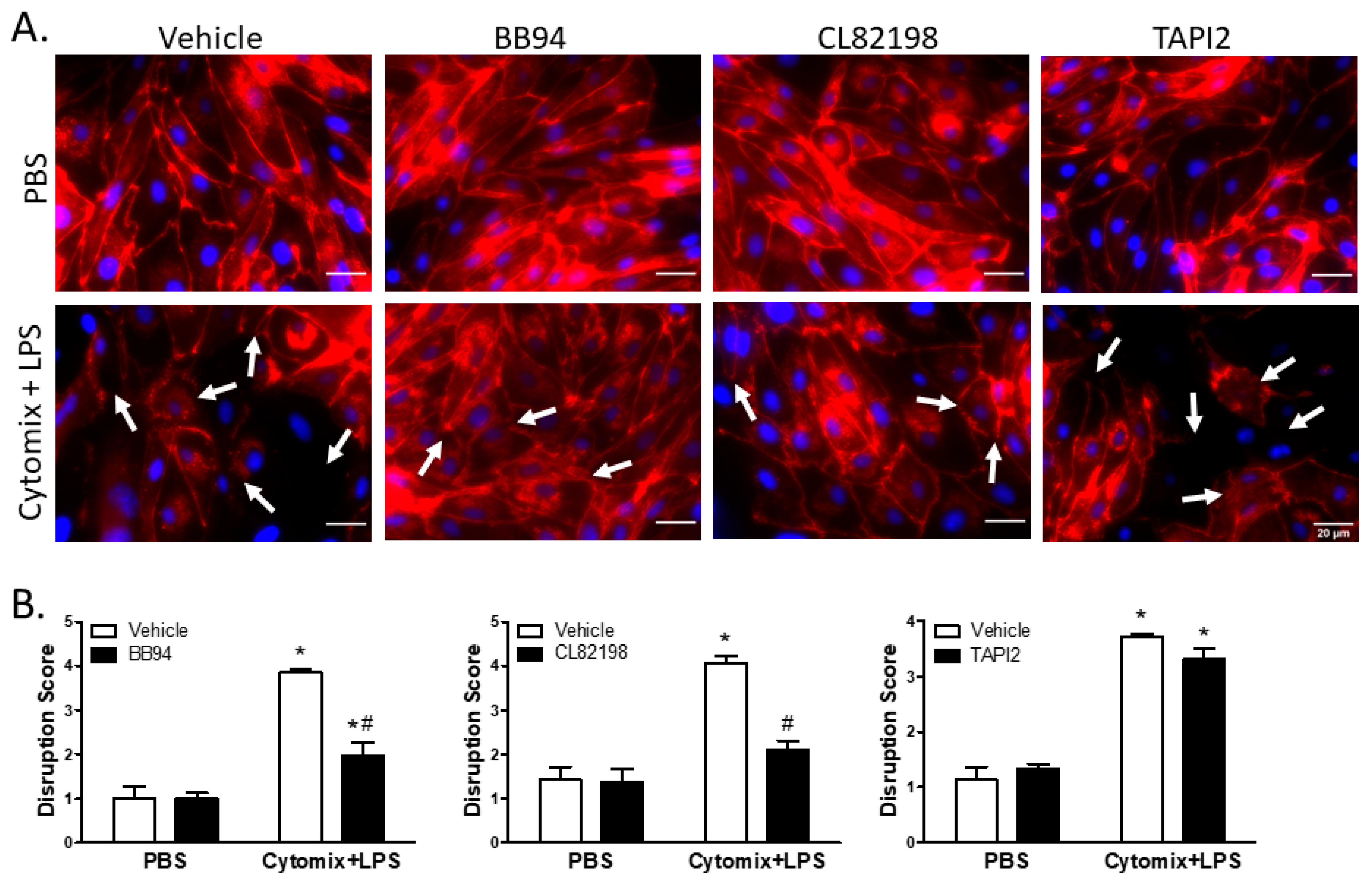 Ijms 24 07875 g007 Ijms 24 07875 g007