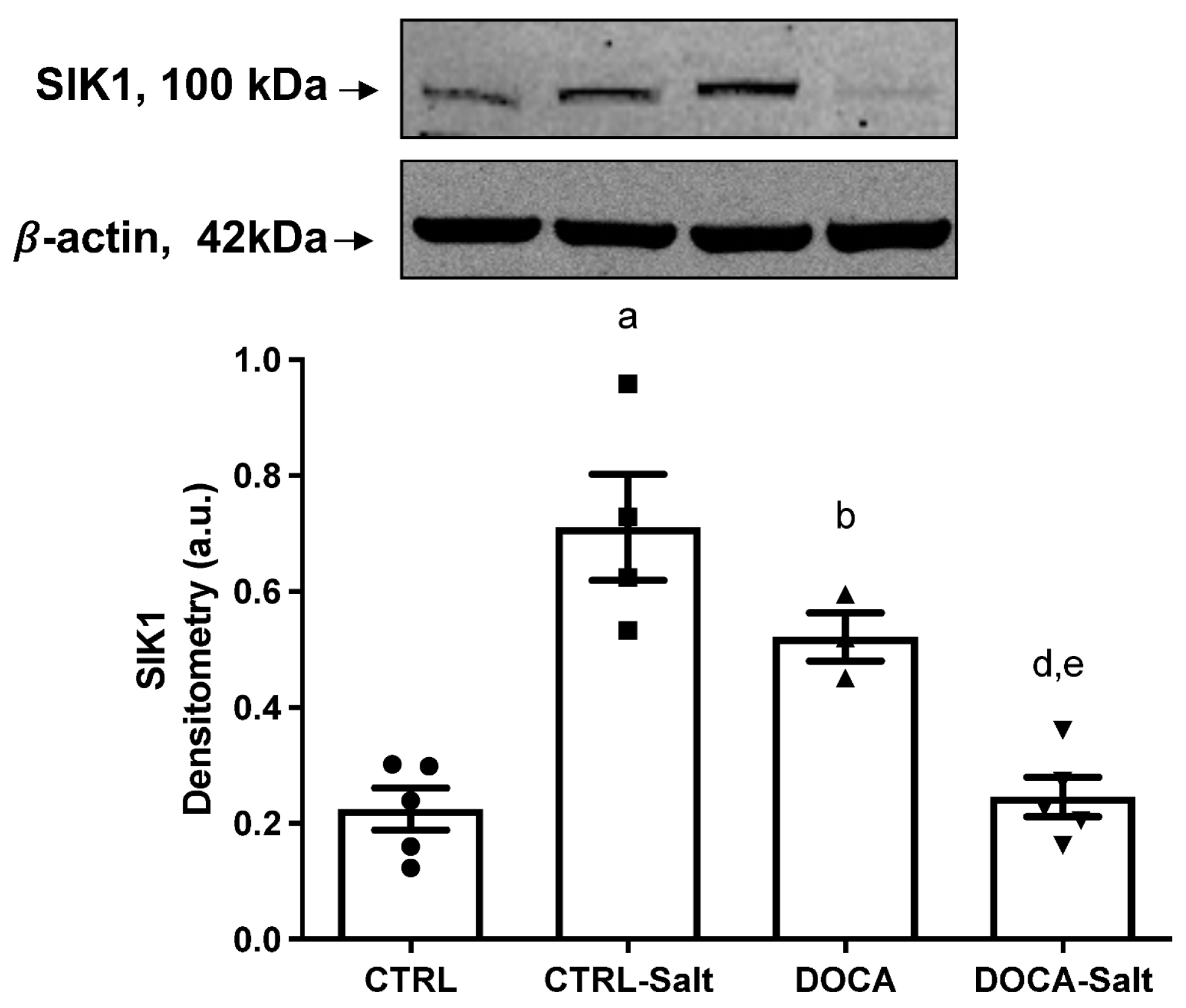 Ijms 24 07887 g007 Ijms 24 07887 g007