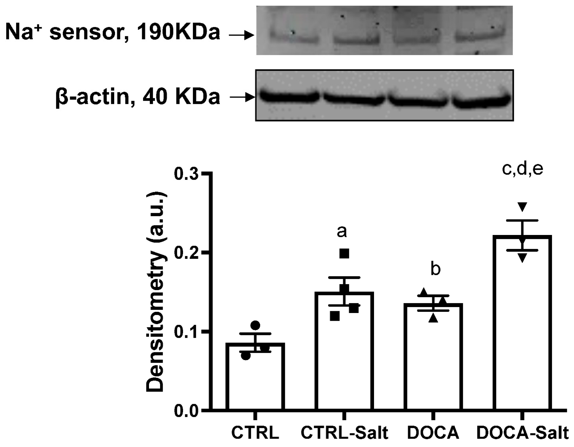 Ijms 24 07887 g011 Ijms 24 07887 g011