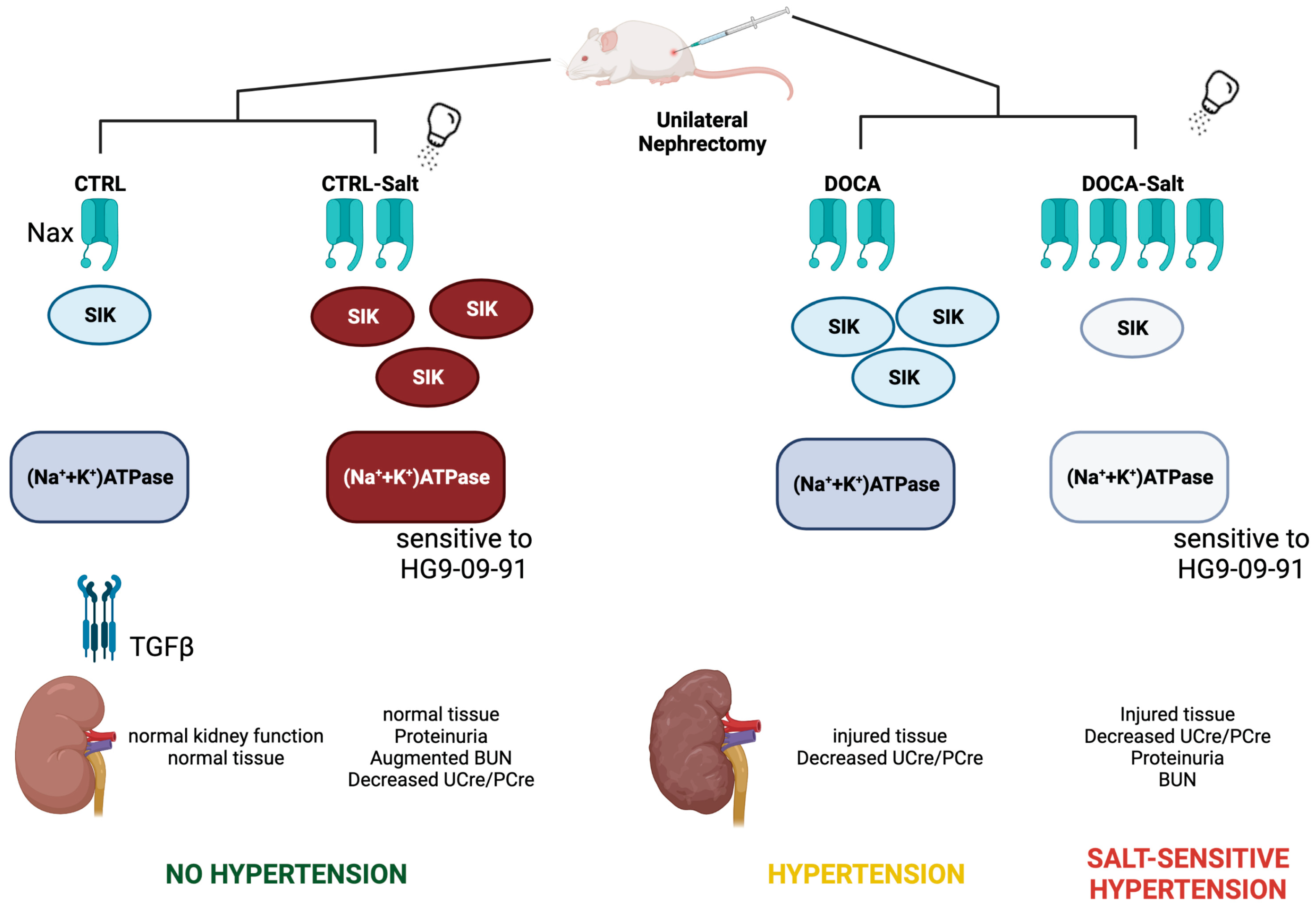 Ijms 24 07887 g012 Ijms 24 07887 g012