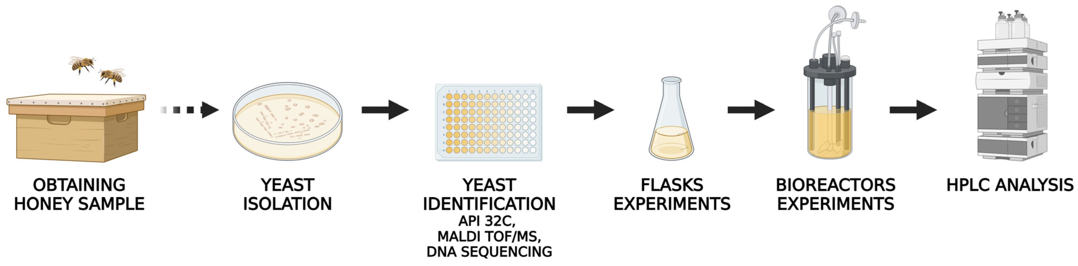 Ijms 24 07889 g001 Ijms 24 07889 g001