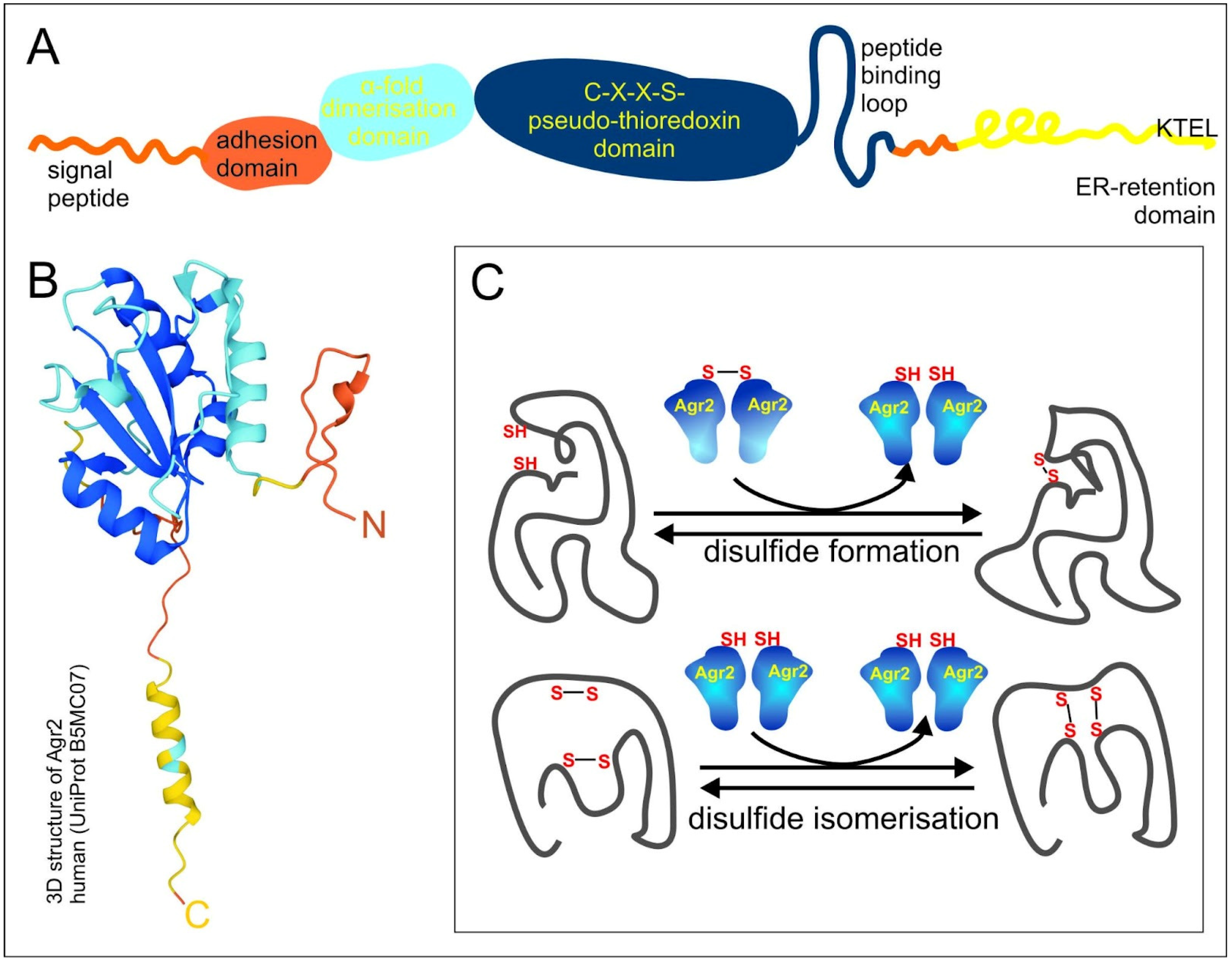 Ijms 24 07895 g001 Ijms 24 07895 g001