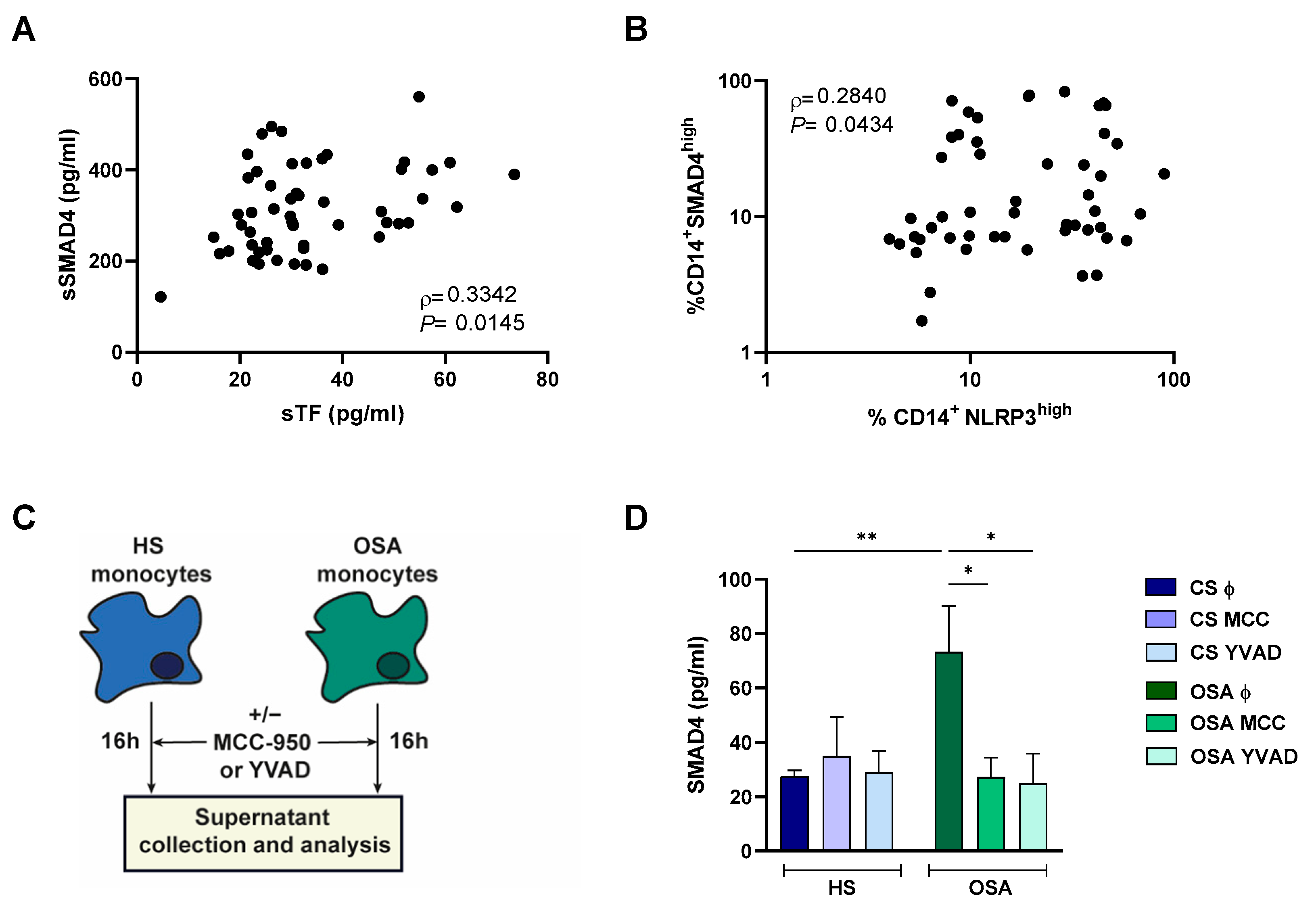 Ijms 24 07900 g004 Ijms 24 07900 g004