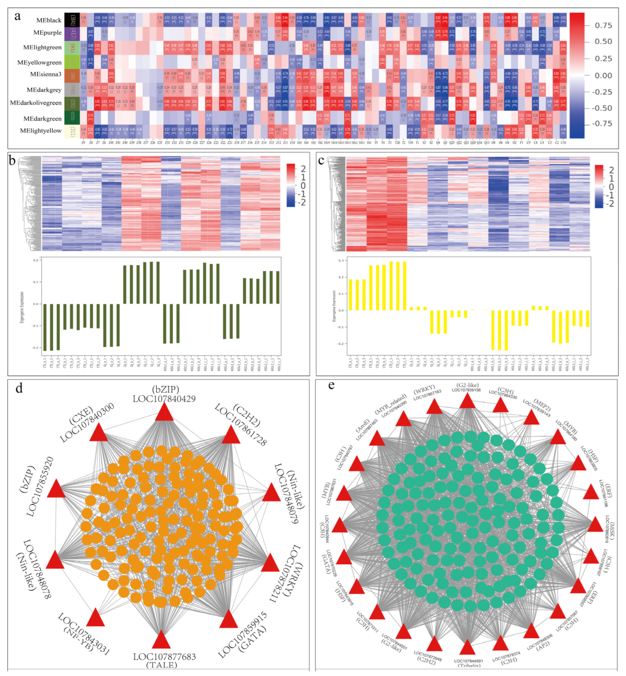 Ijms 24 07901 g009 Ijms 24 07901 g009