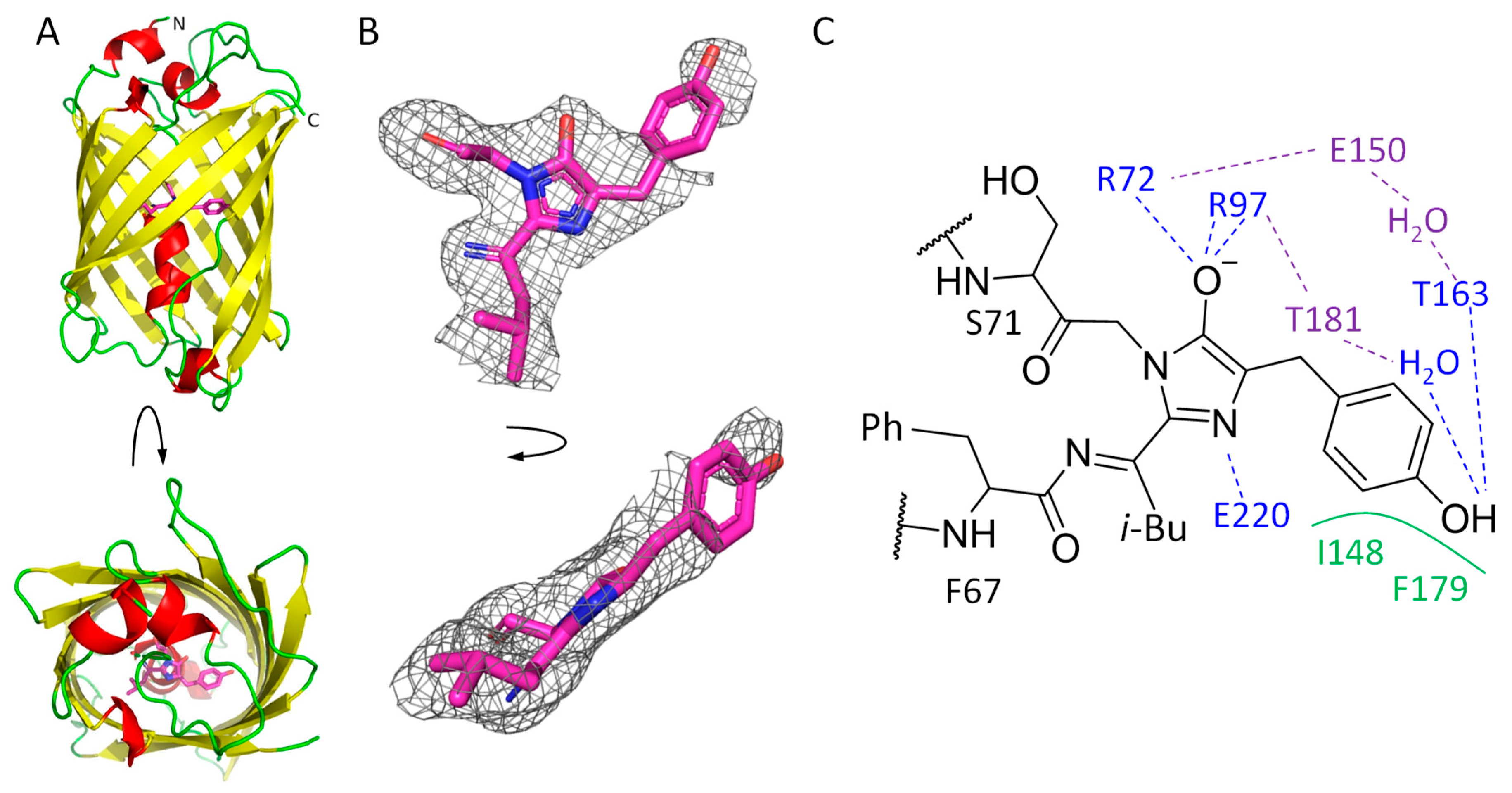 Ijms 24 07906 g002 Ijms 24 07906 g002
