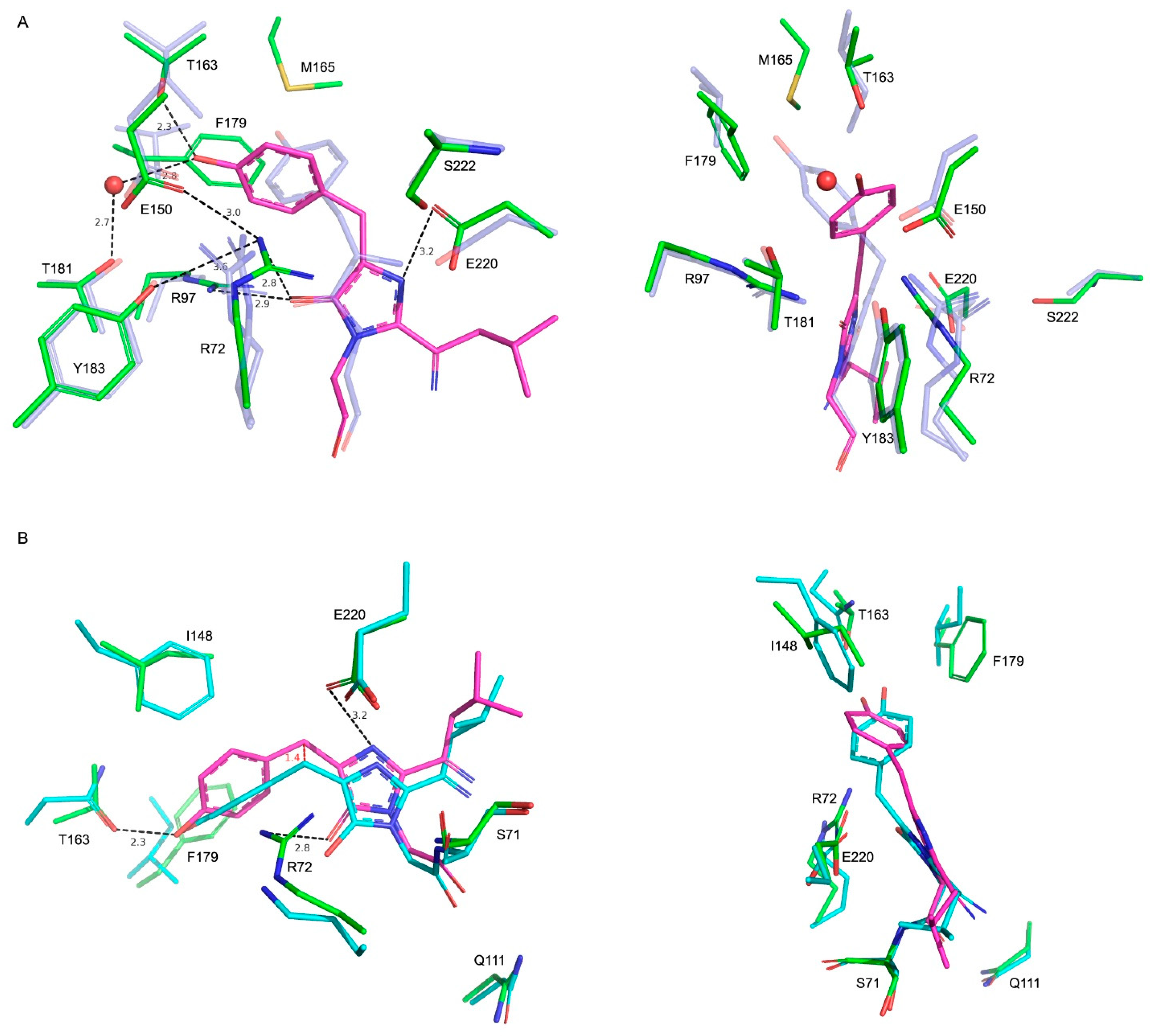 Ijms 24 07906 g003 Ijms 24 07906 g003