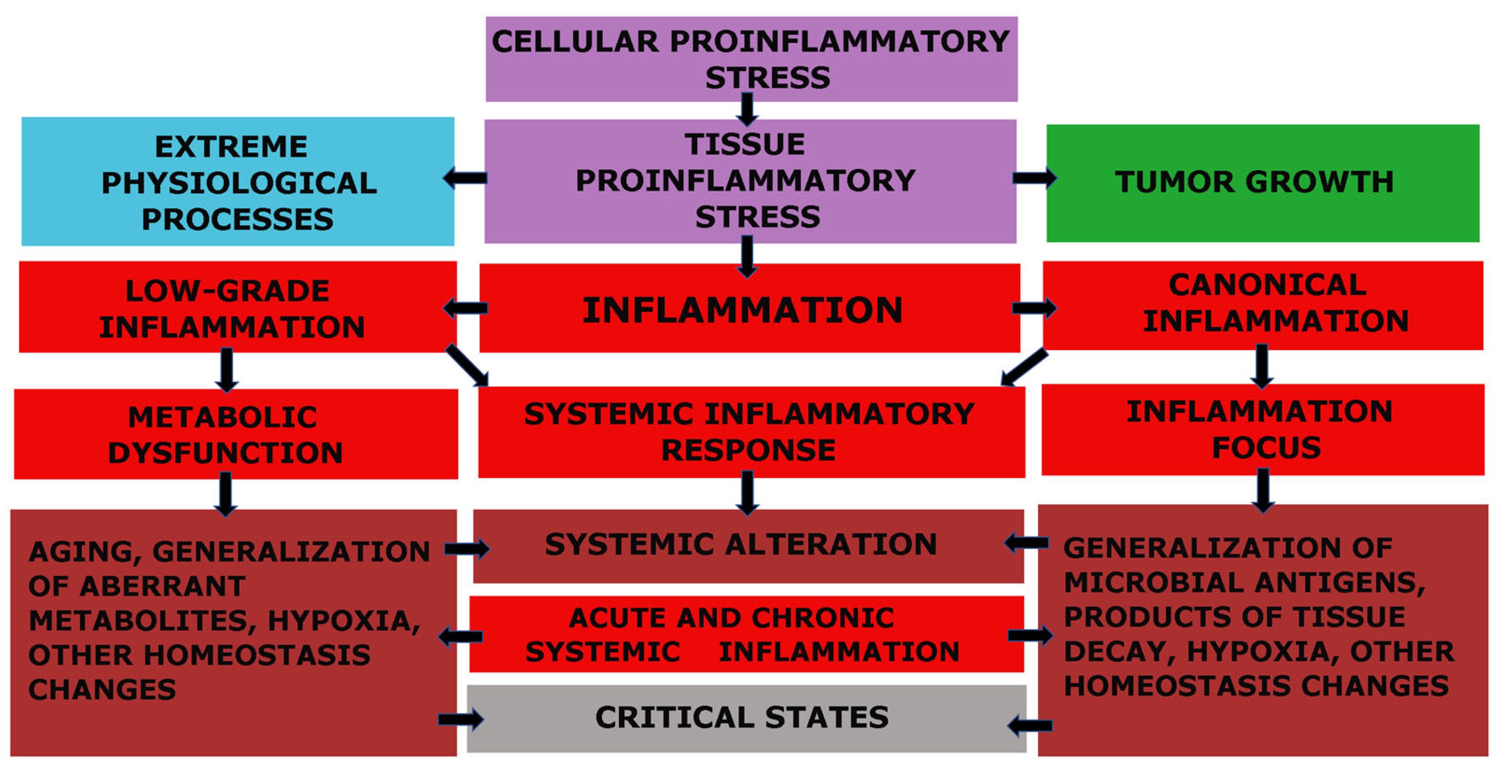 IJMS Free Full-Text | Atherosclerosis and Inflammation: Insights from the of General Pathological Processes