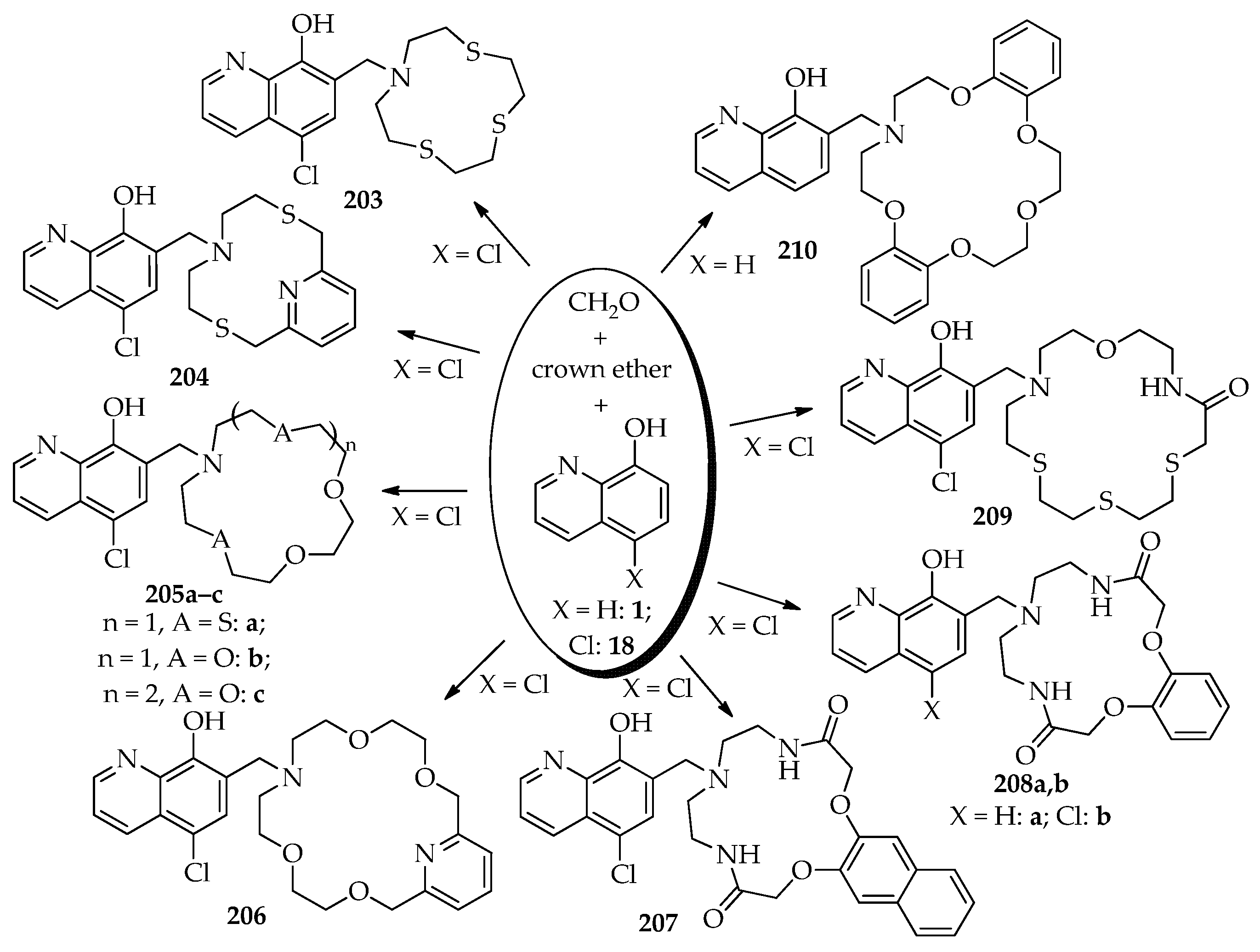 Ijms 24 07915 sch014 Ijms 24 07915 sch014
