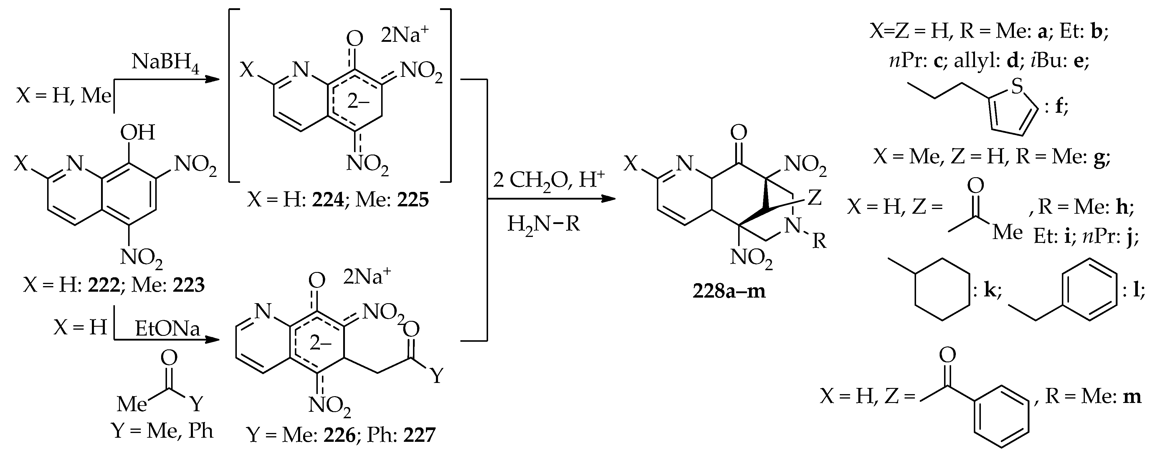 Ijms 24 07915 sch016 Ijms 24 07915 sch016