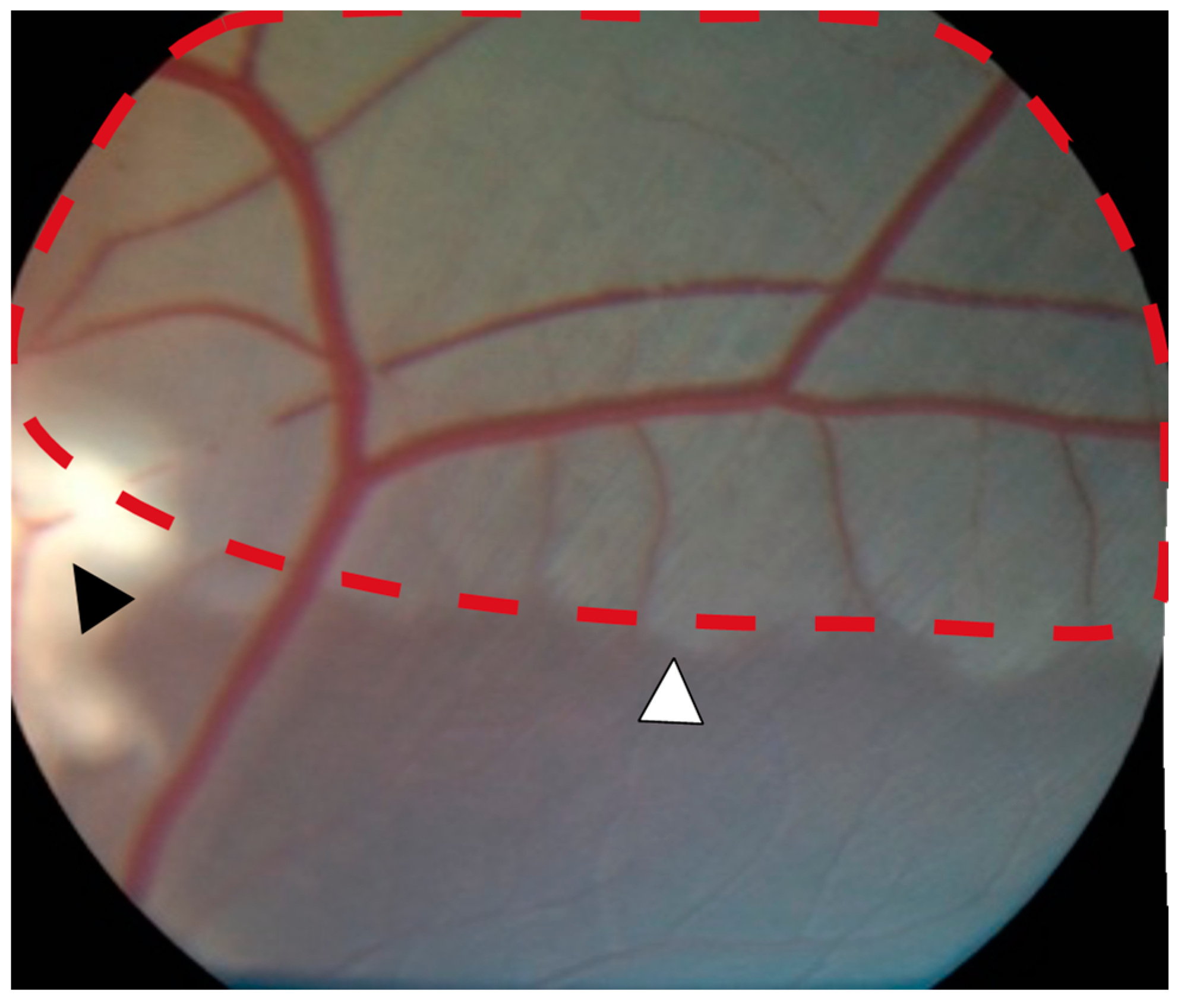 Ijms 24 07919 g001 Ijms 24 07919 g001