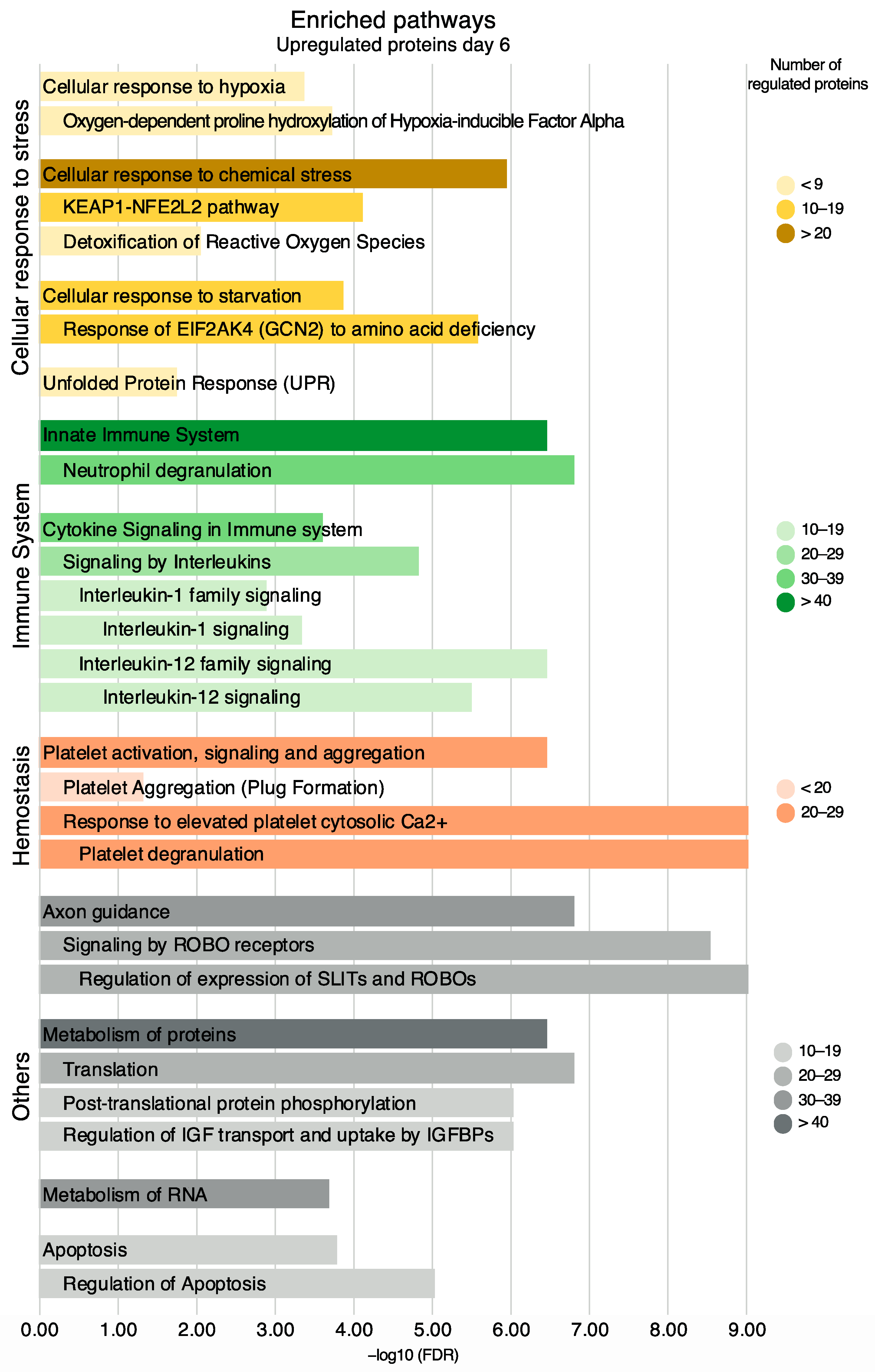 Ijms 24 07919 g008 Ijms 24 07919 g008