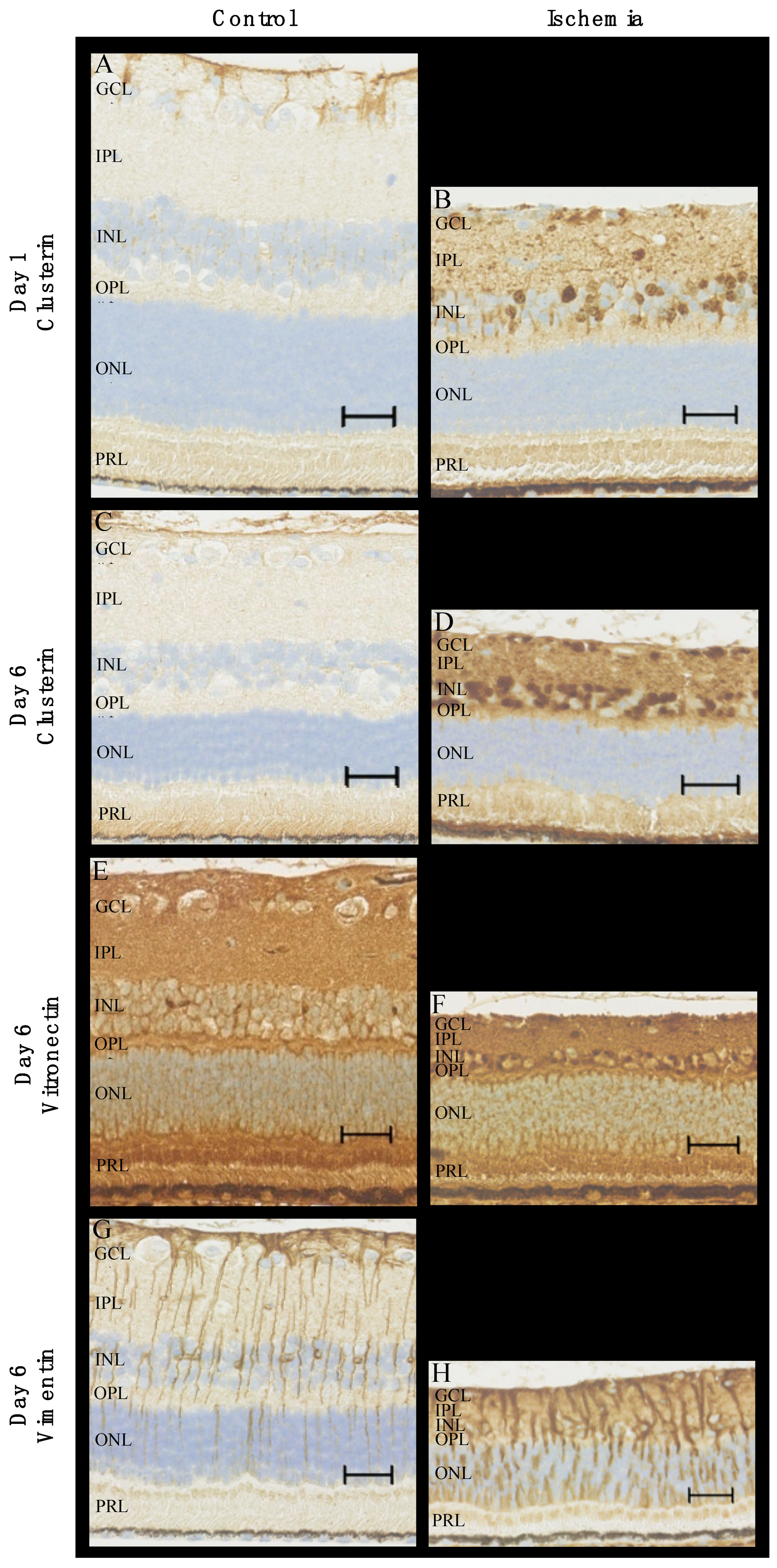 Ijms 24 07919 g010 Ijms 24 07919 g010