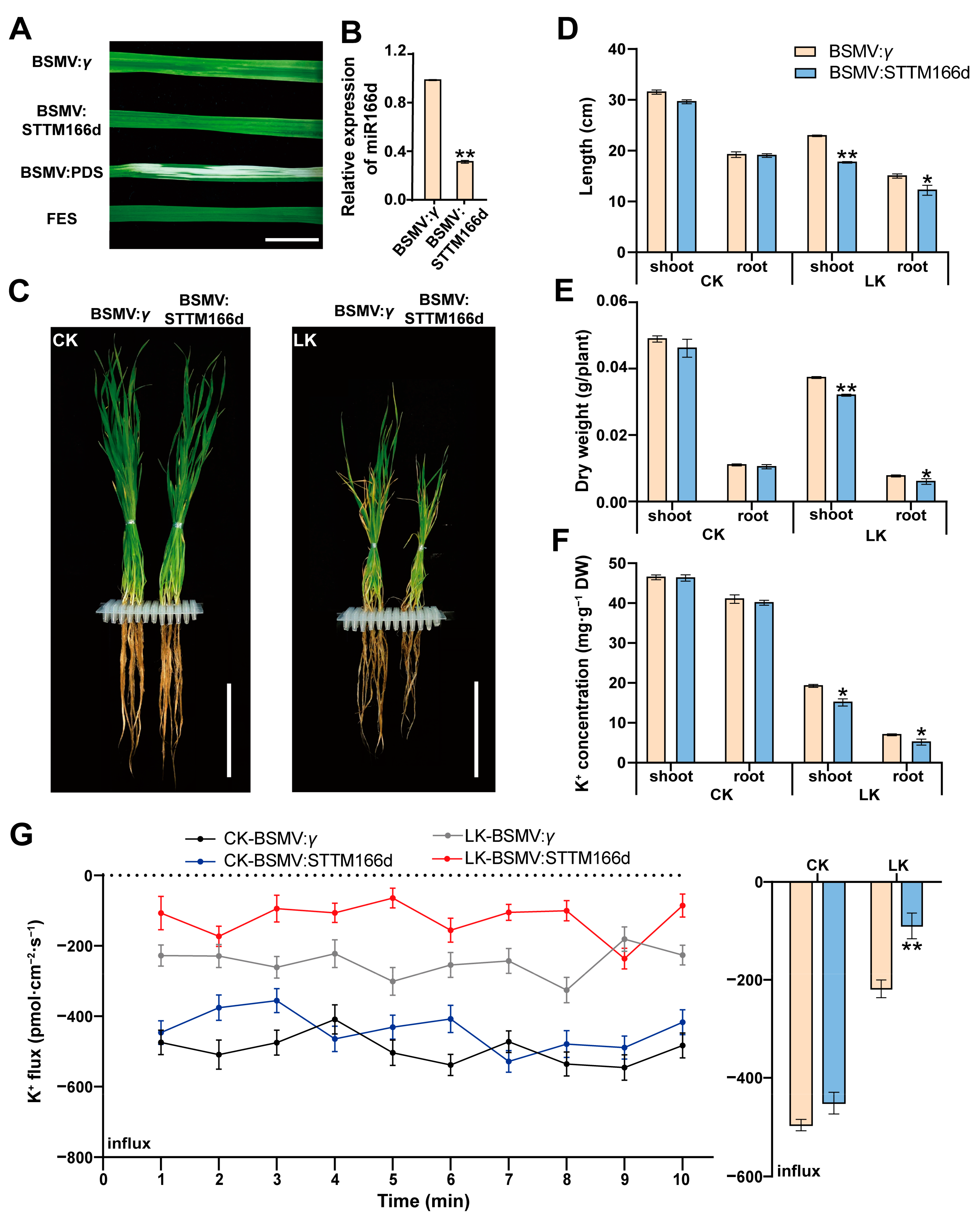 Ijms 24 07926 g003 Ijms 24 07926 g003