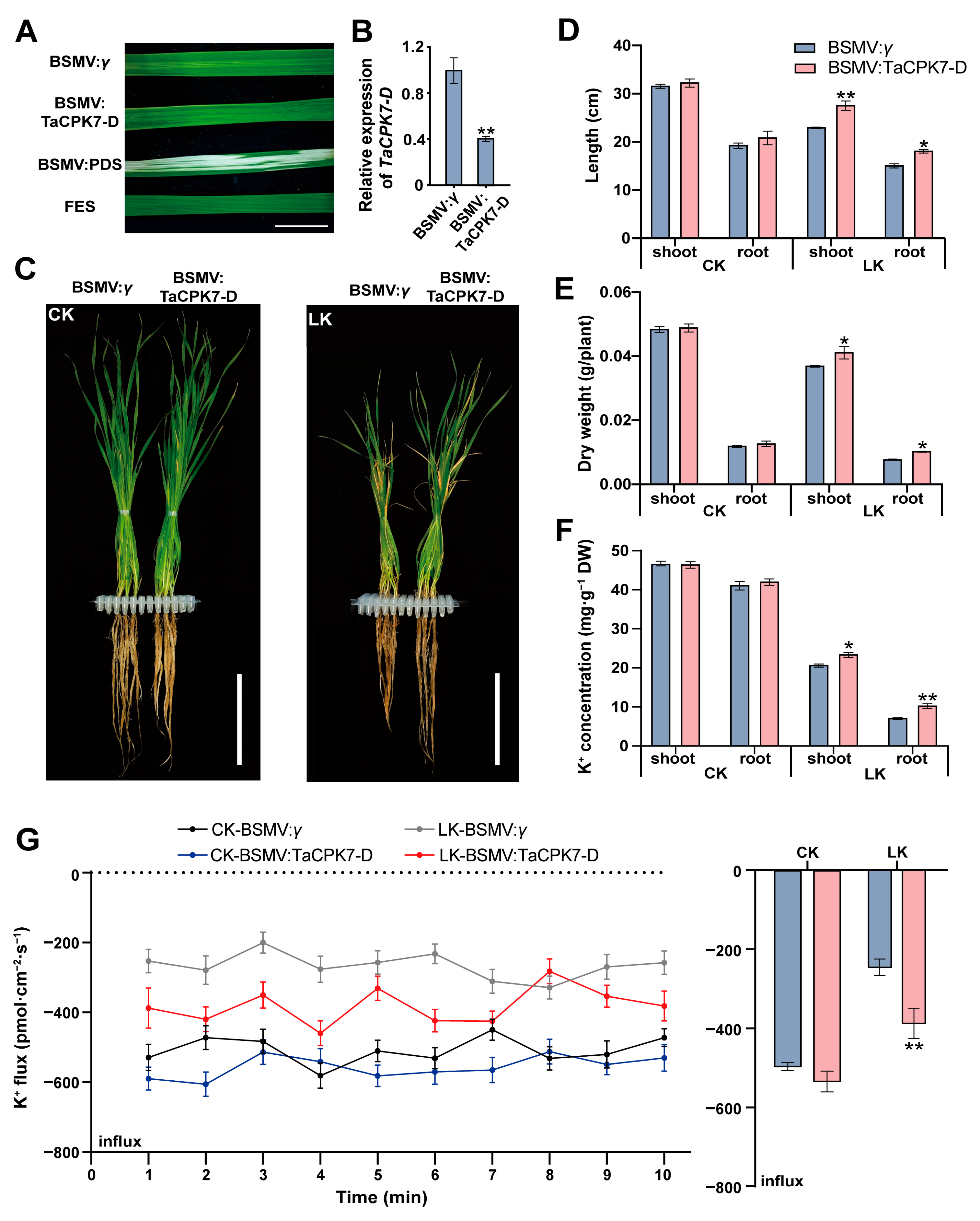 Ijms 24 07926 g005 Ijms 24 07926 g005