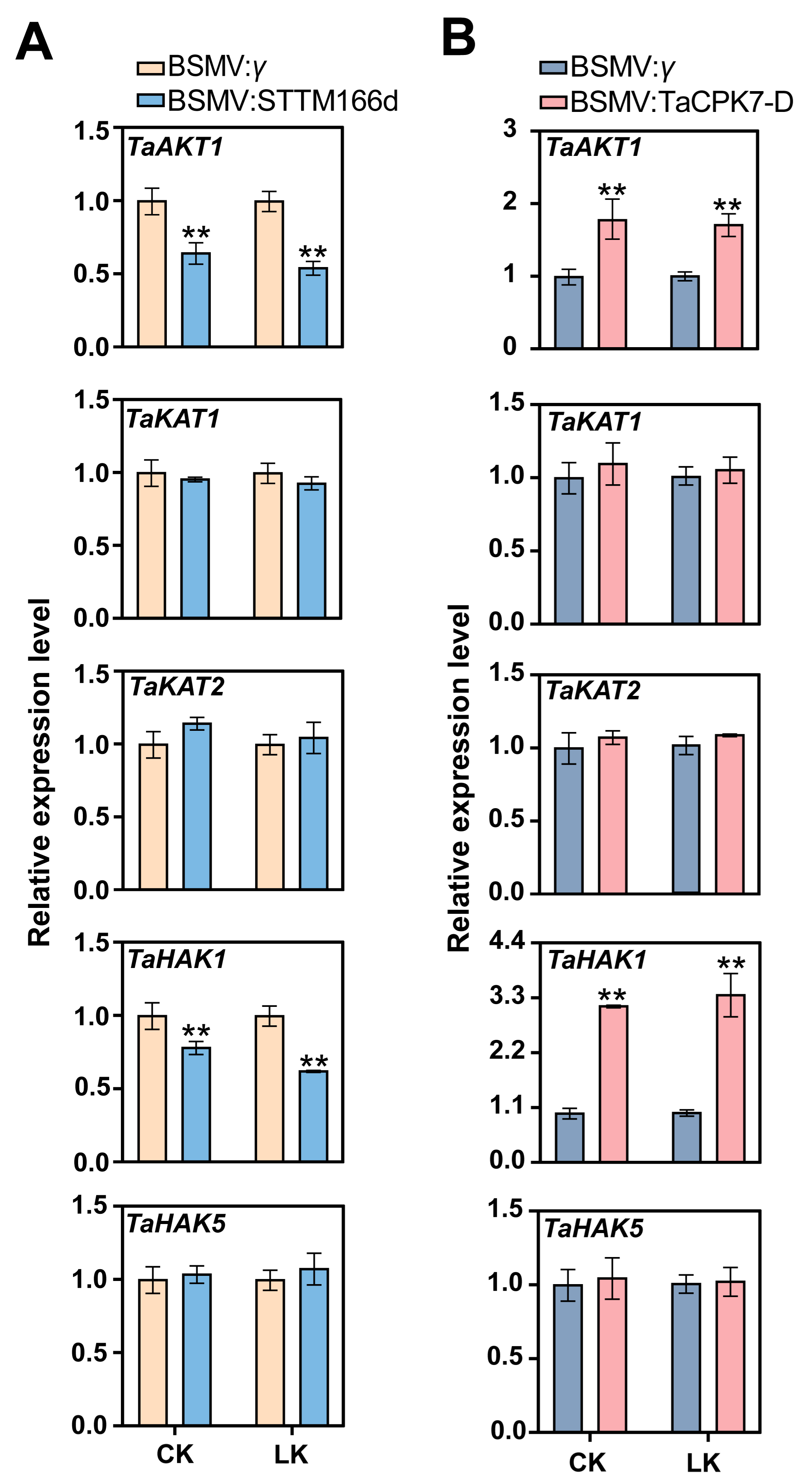 Ijms 24 07926 g006 Ijms 24 07926 g006