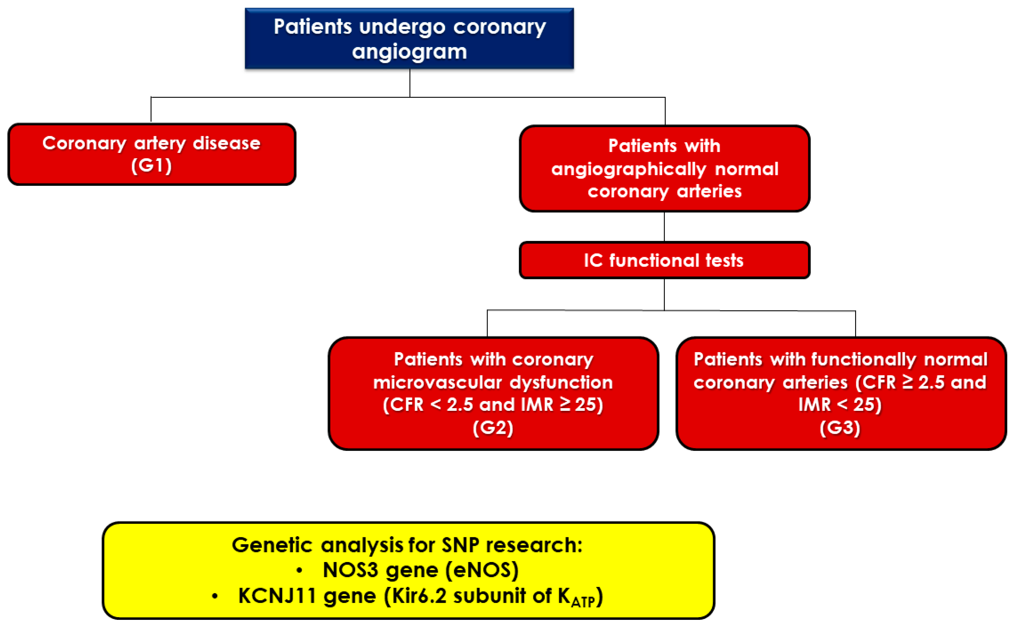 IJMS Free Full Text Protection Against Ischemic Heart Disease A use-of-coronary-computed-tomography-angiography-in-clinical-practice