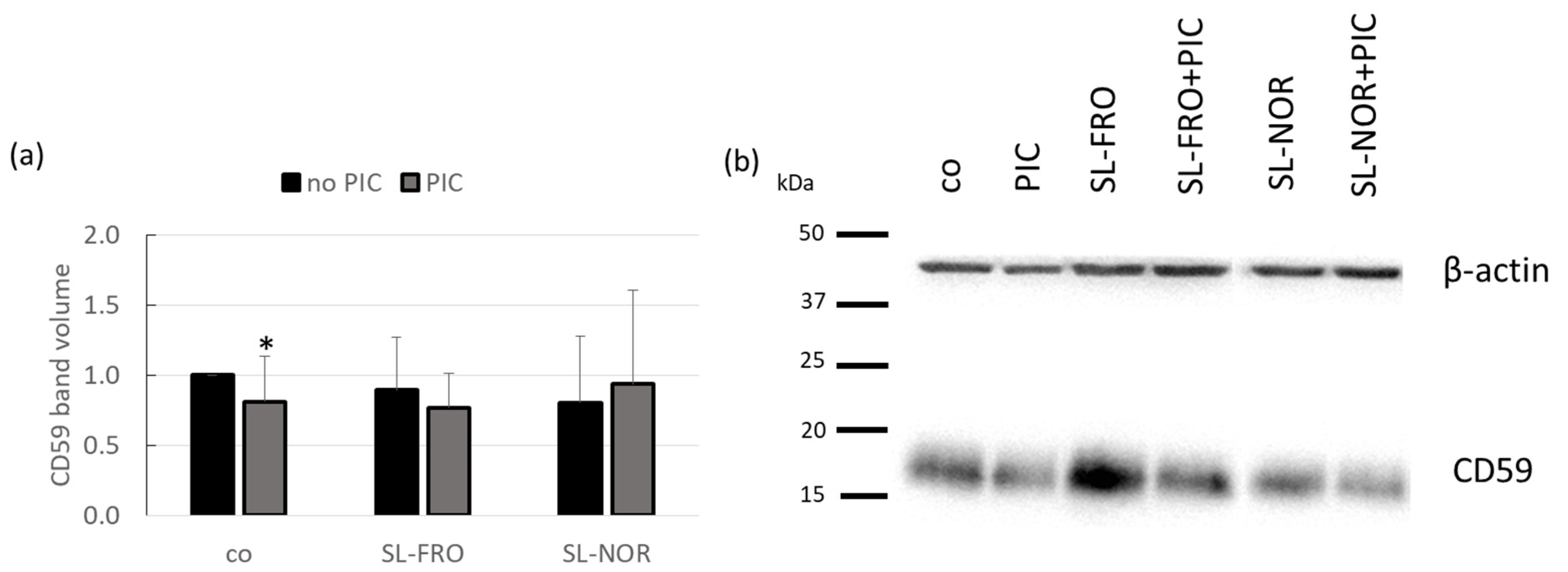 Ijms 24 07939 g008 Ijms 24 07939 g008
