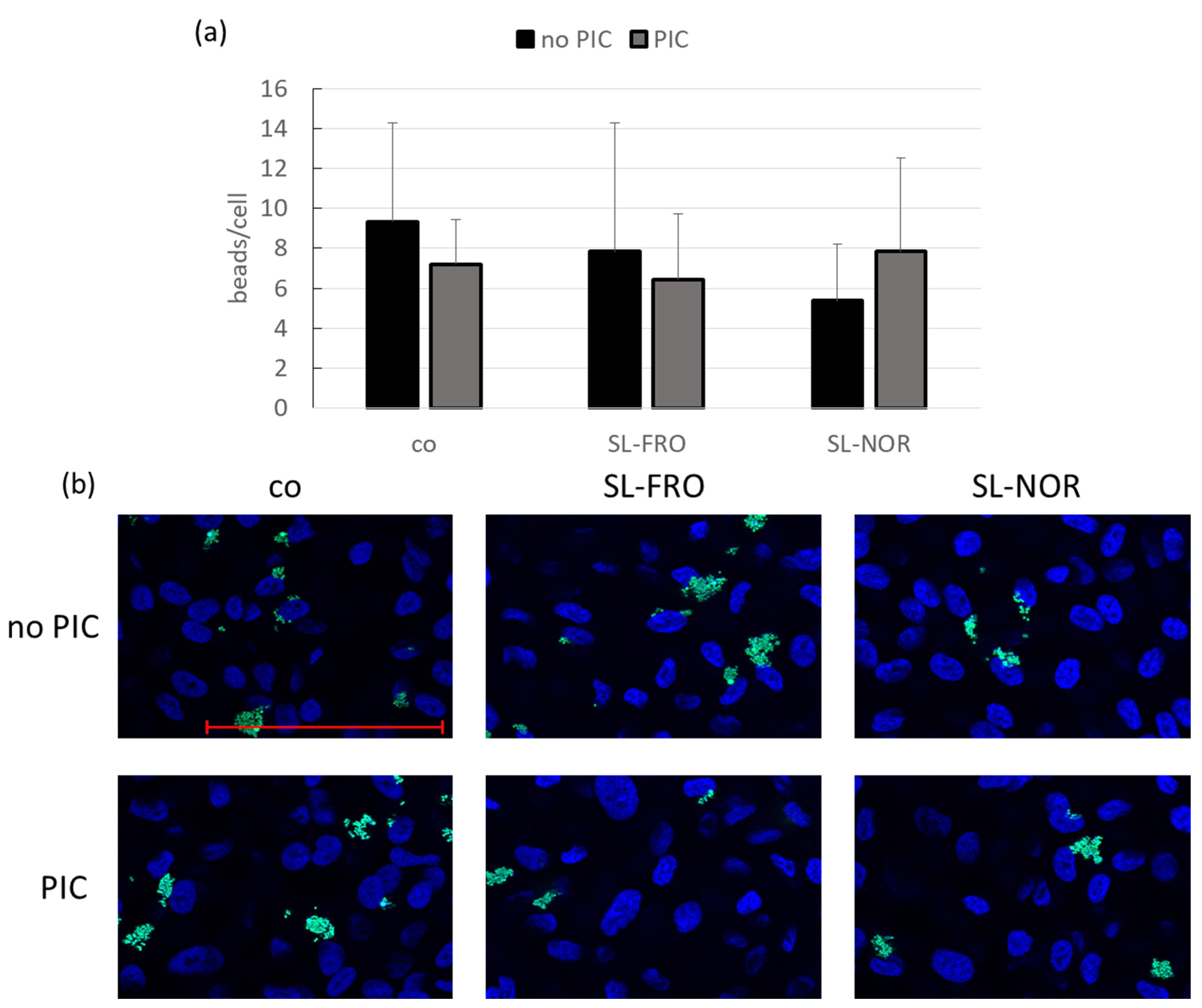 Ijms 24 07939 g011 Ijms 24 07939 g011