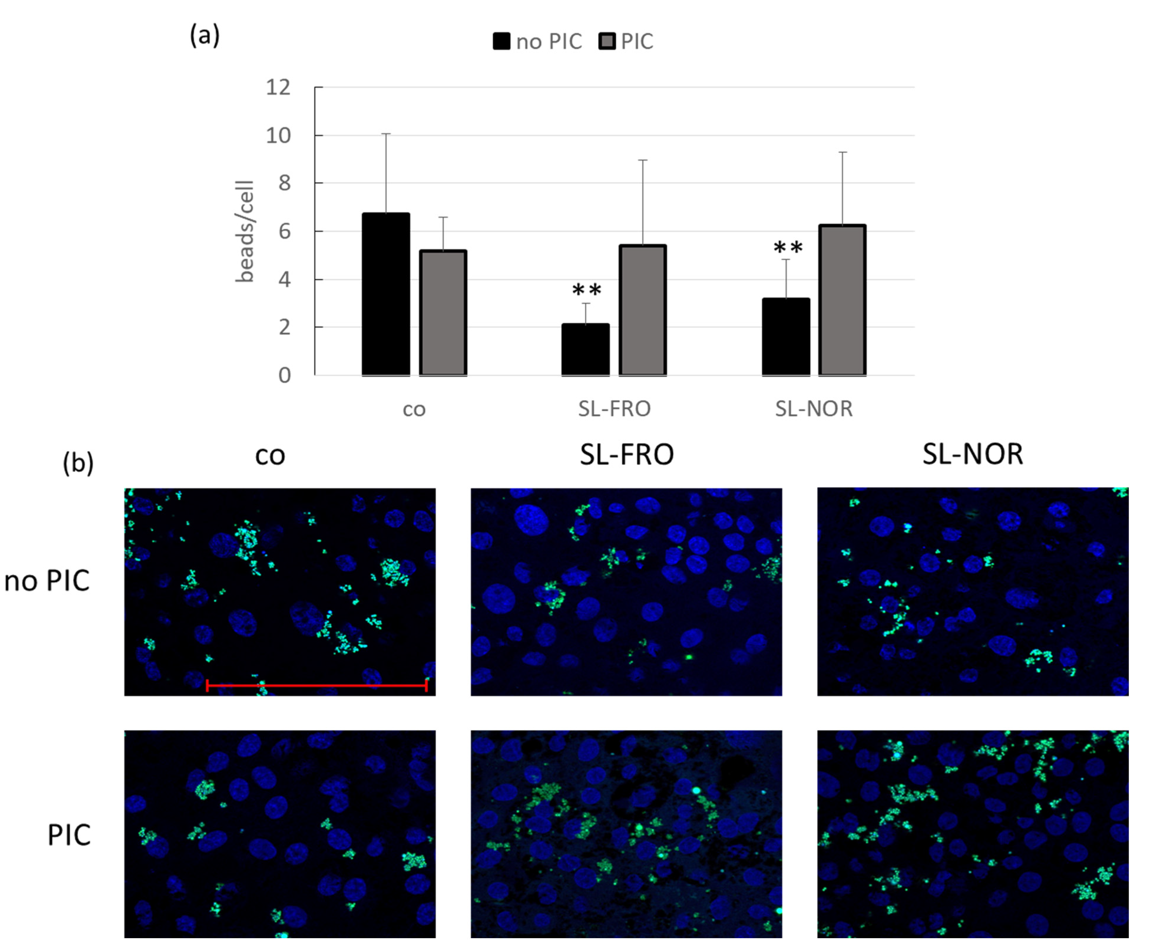 Ijms 24 07939 g012 Ijms 24 07939 g012