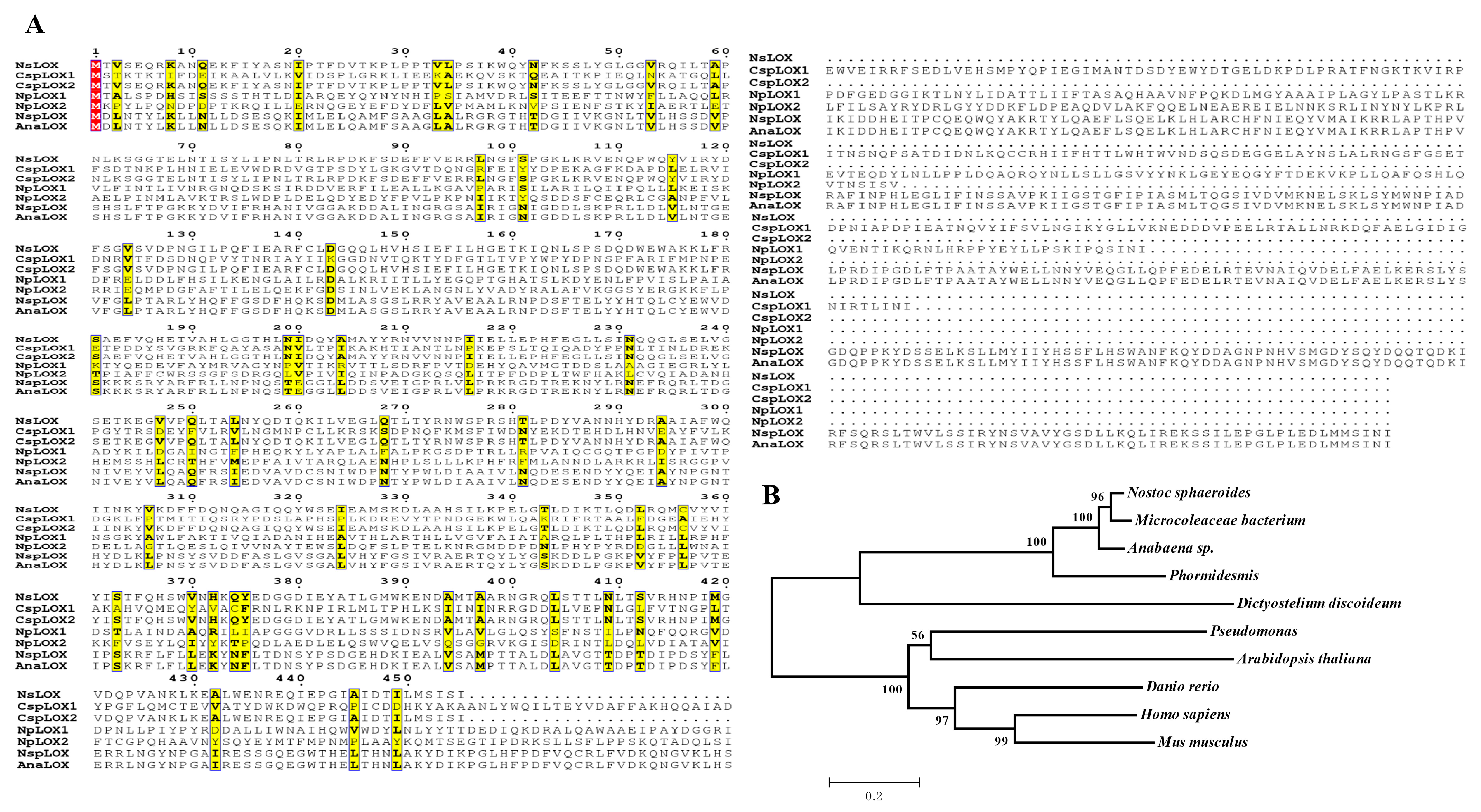 Ijms 24 07941 g001 Ijms 24 07941 g001