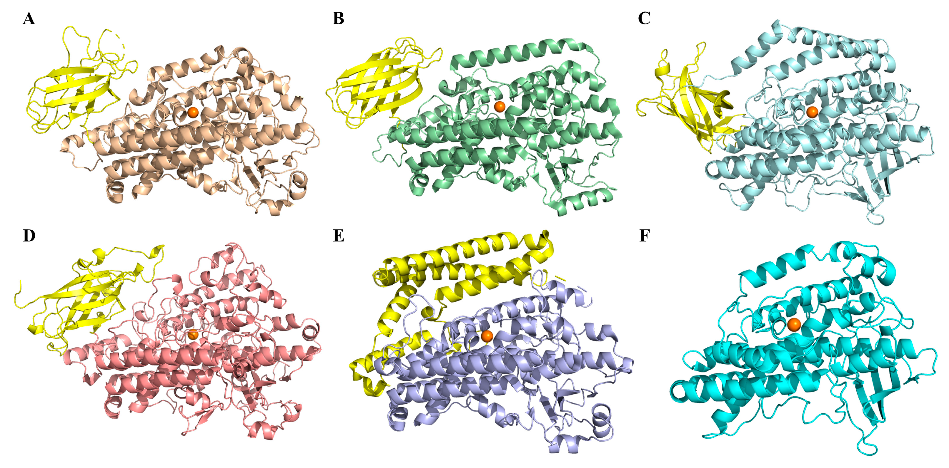 Ijms 24 07941 g003 Ijms 24 07941 g003