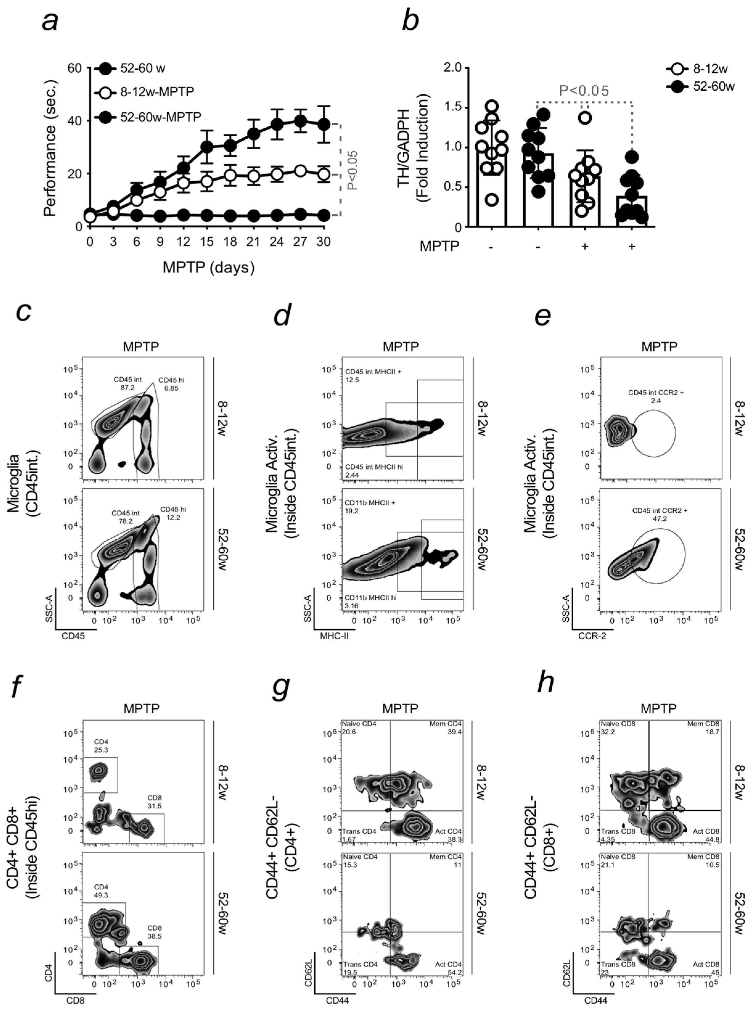 Ijms 24 07949 g001 Ijms 24 07949 g001