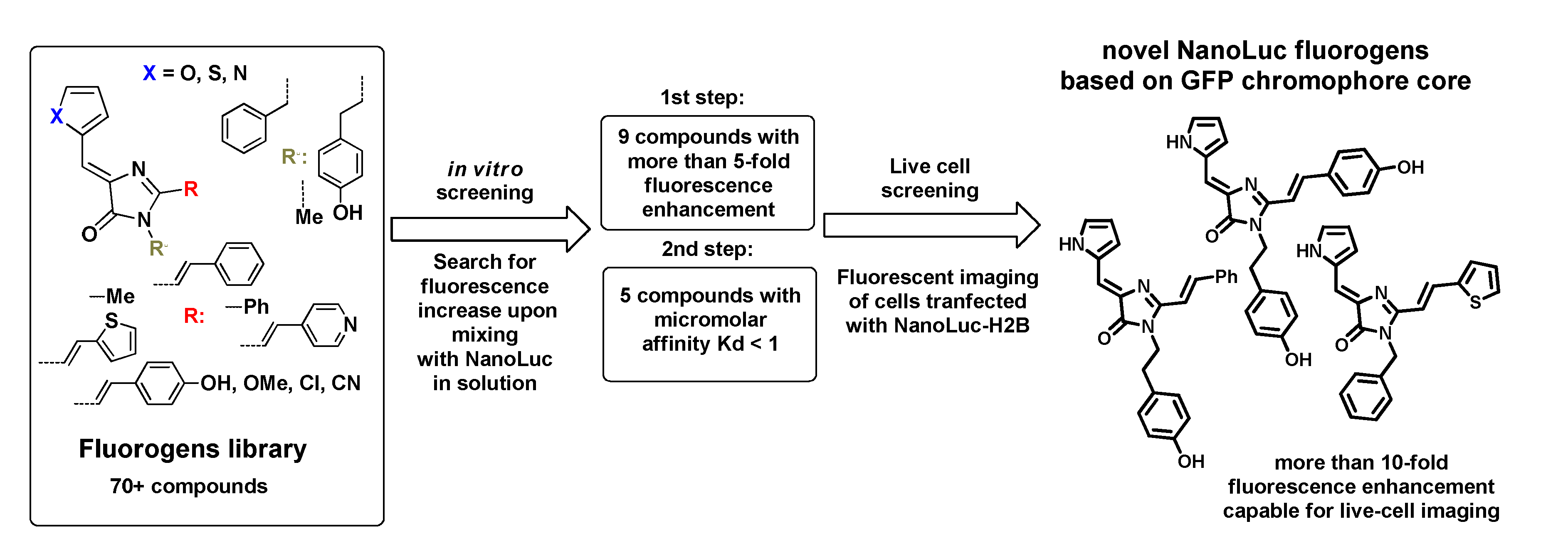 Ijms 24 07958 sch004
