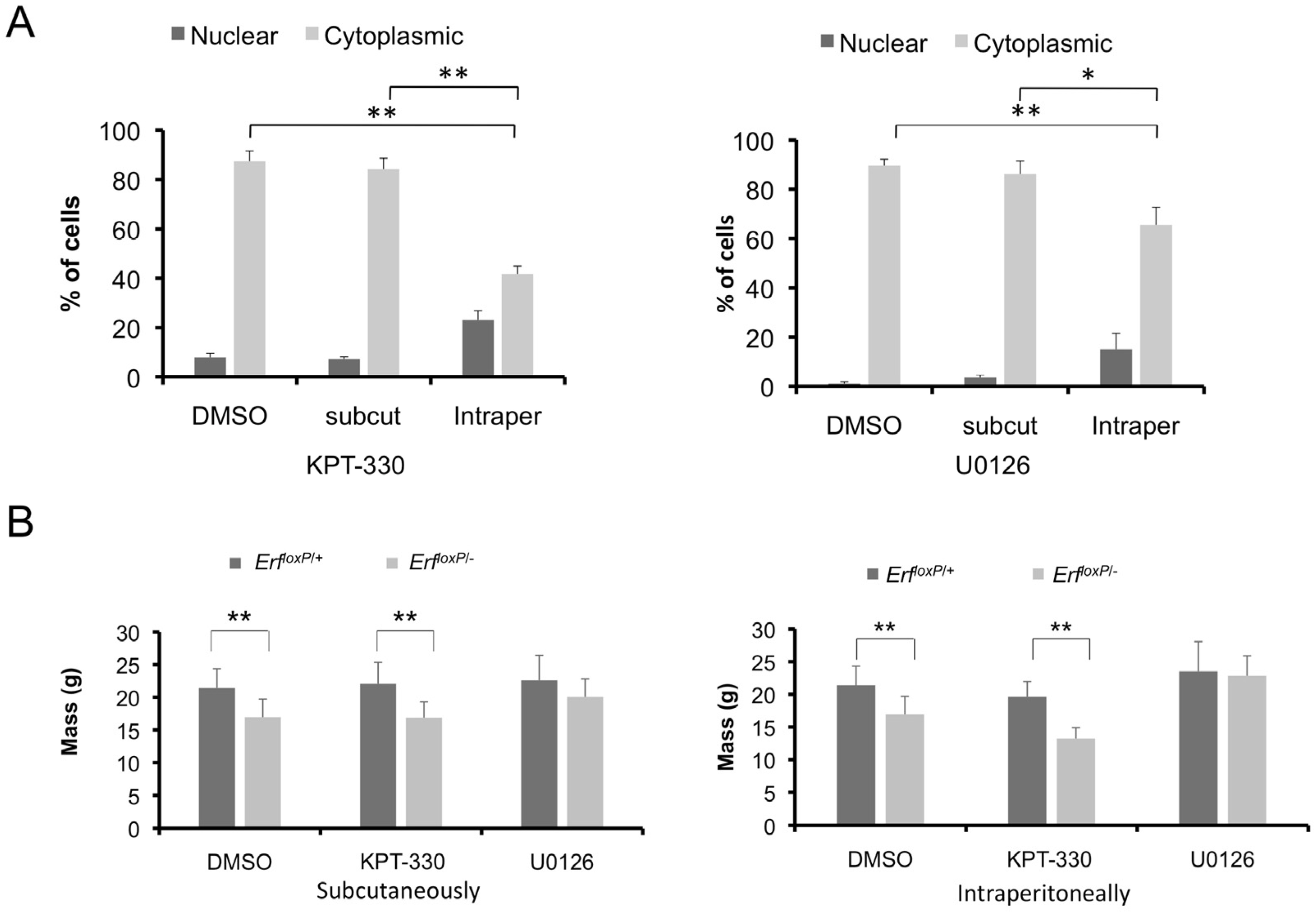 Ijms 24 07961 g004 Ijms 24 07961 g004