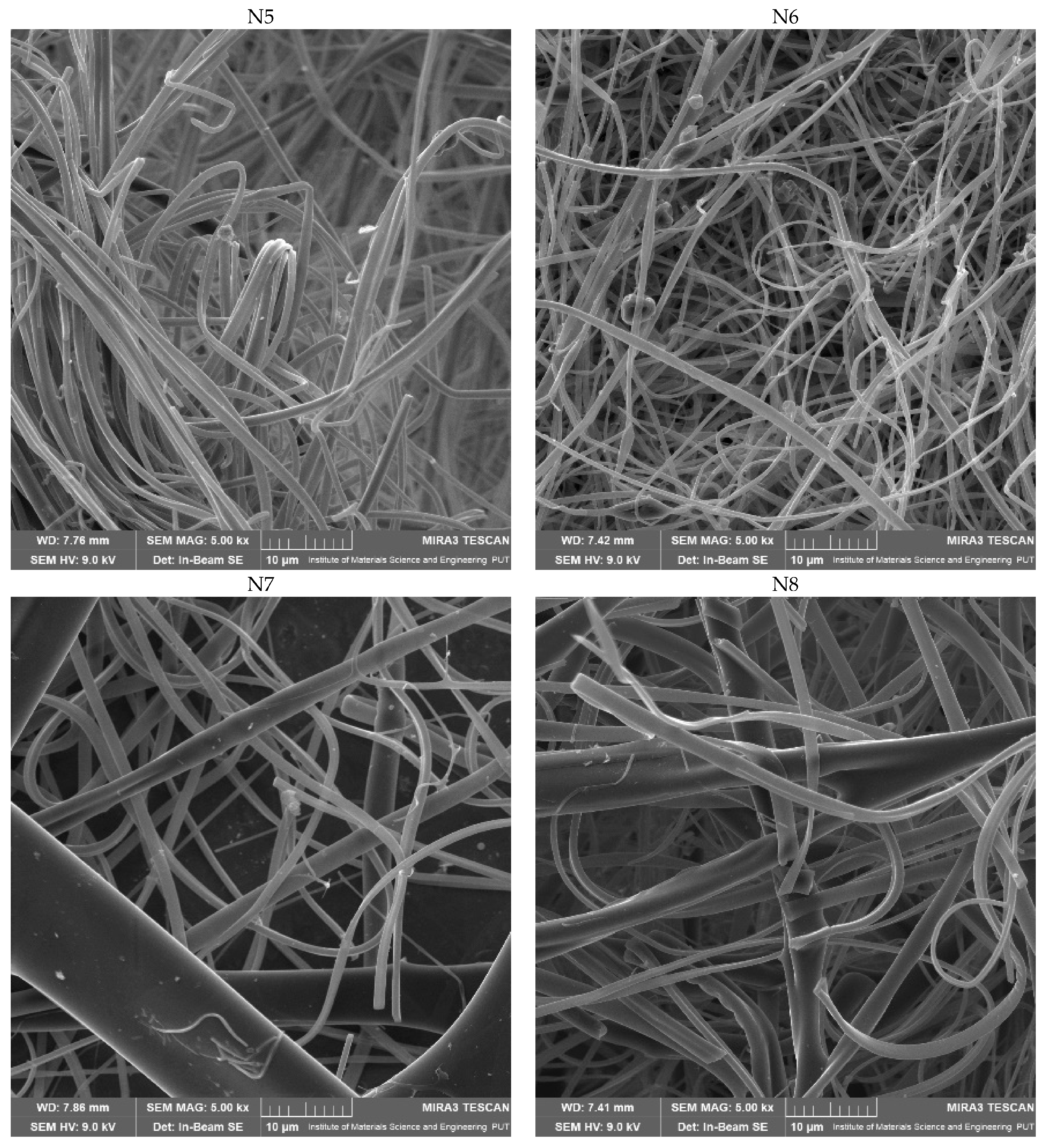 Ijms 24 07963 g003b Ijms 24 07963 g003b