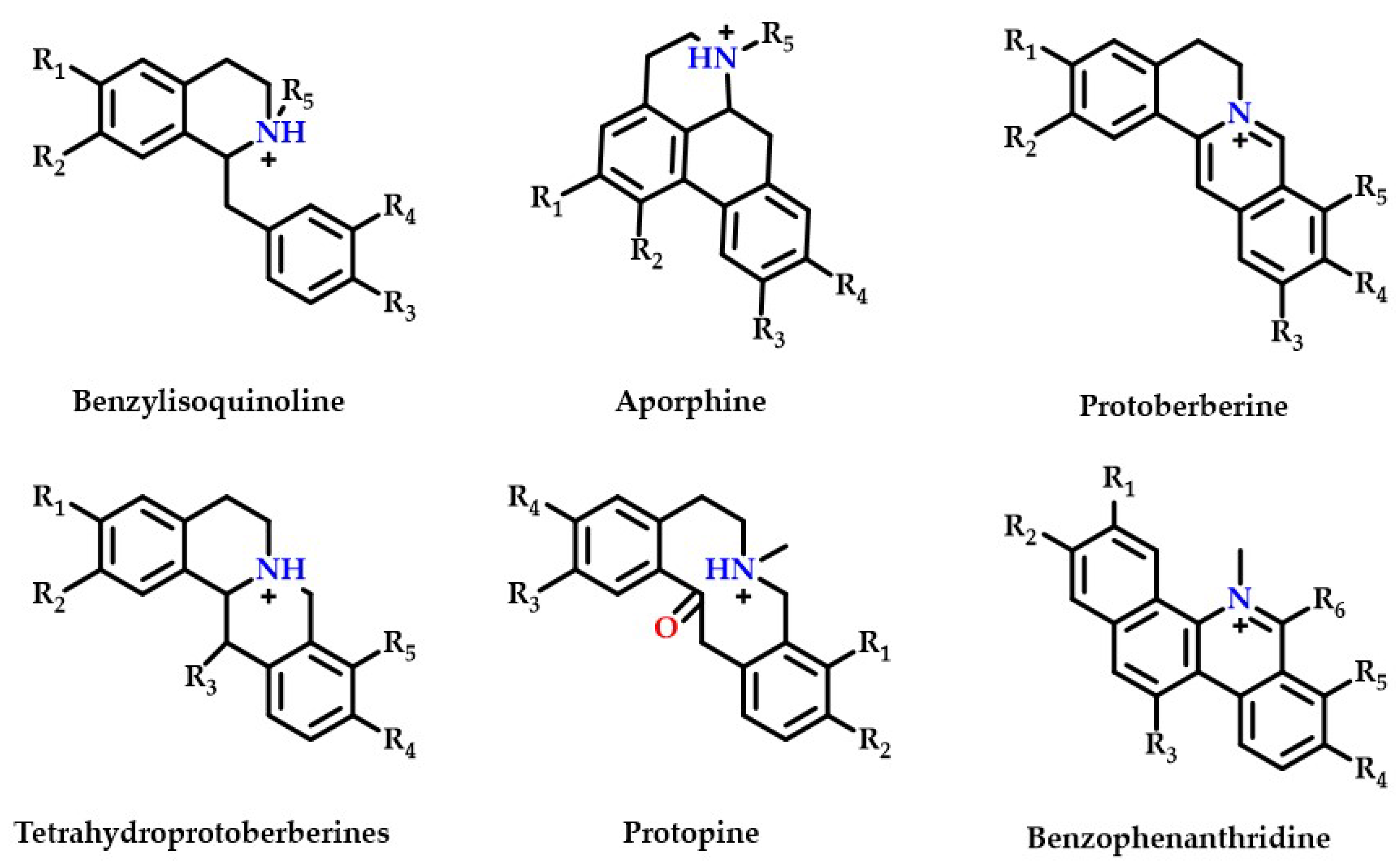 Ijms 24 07972 g002 Ijms 24 07972 g002