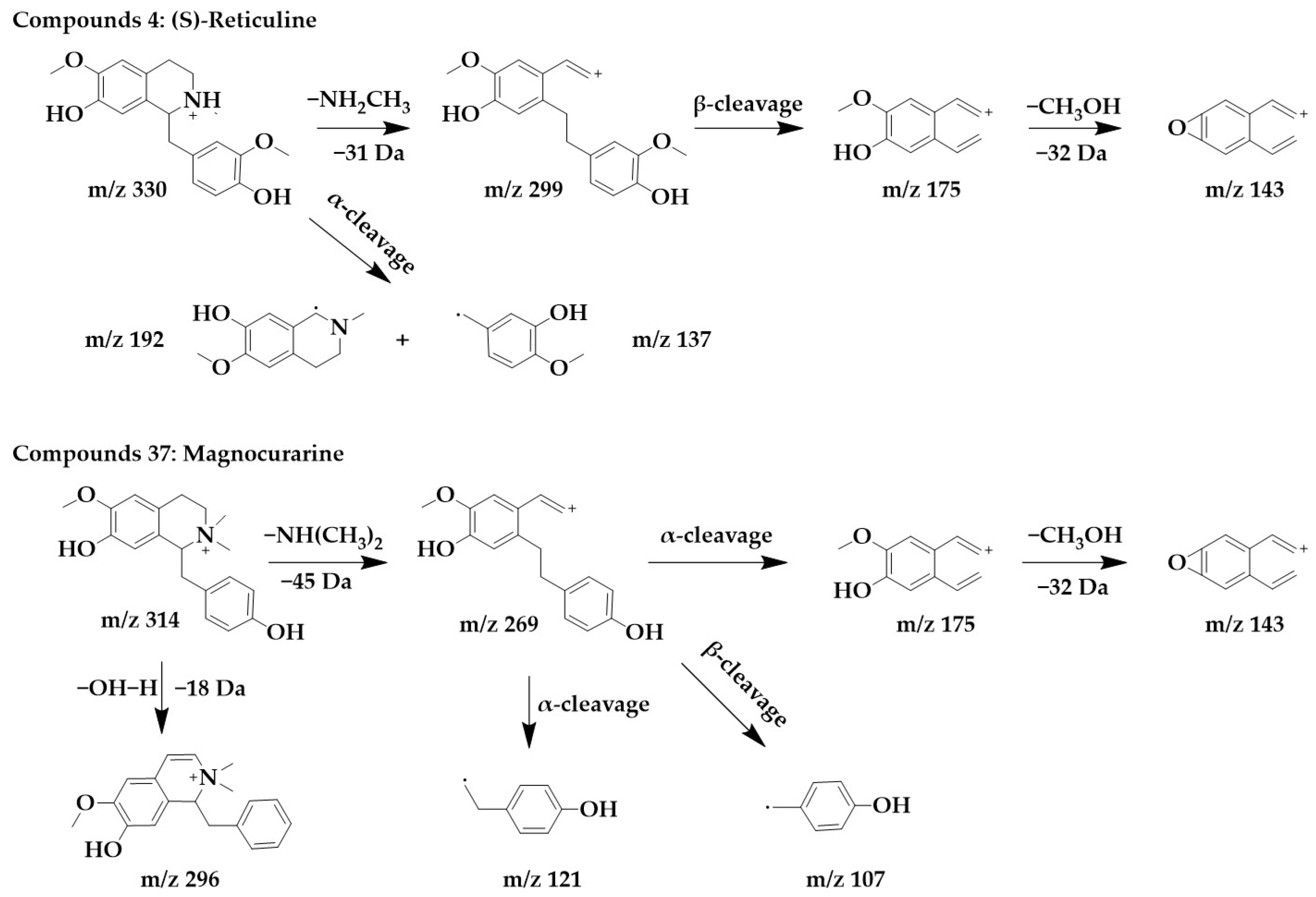 Ijms 24 07972 g003 Ijms 24 07972 g003
