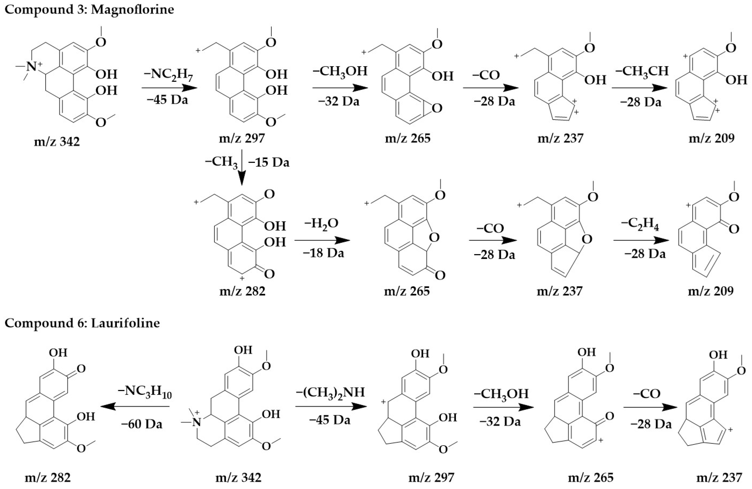 Ijms 24 07972 g004 Ijms 24 07972 g004