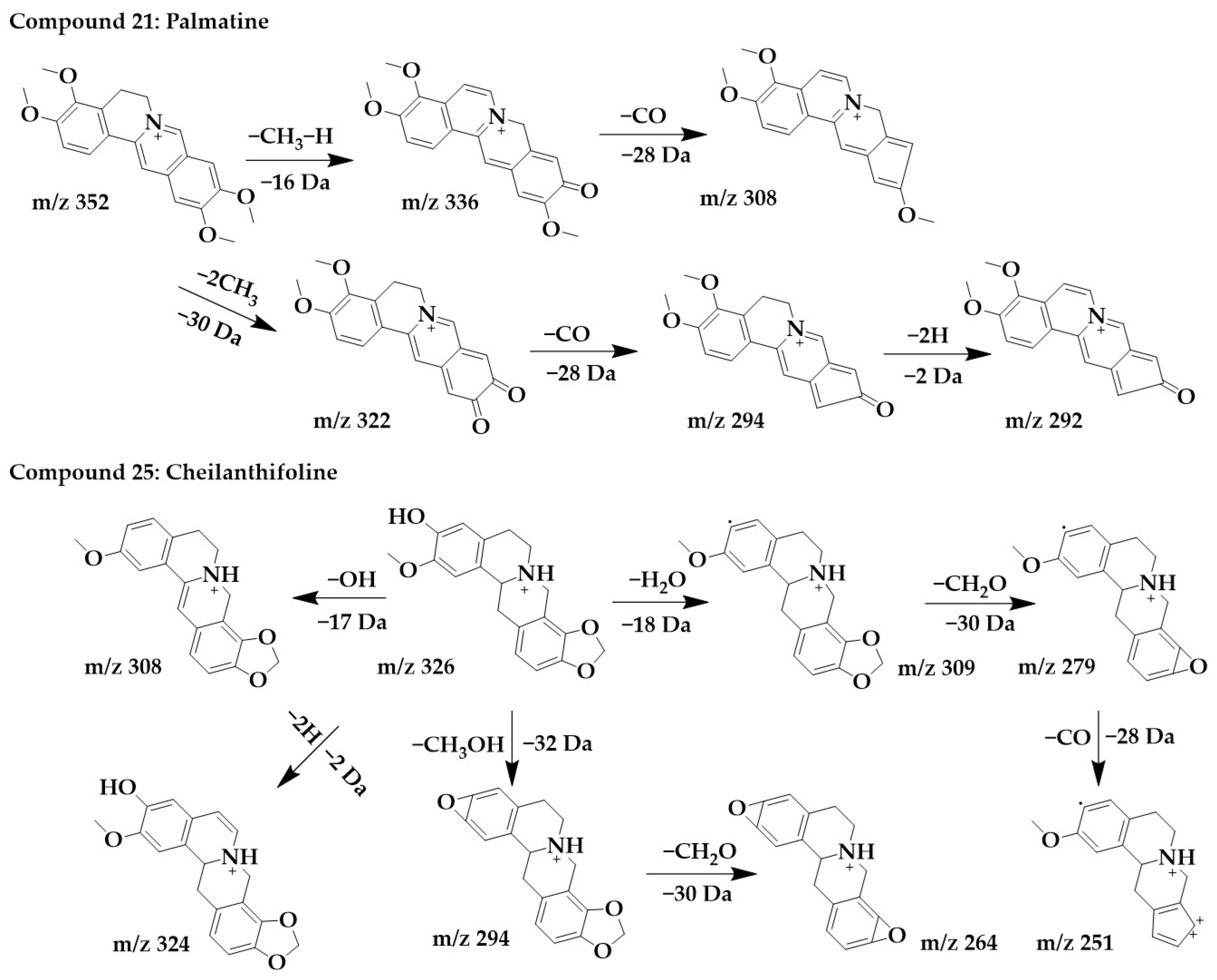 Ijms 24 07972 g005 Ijms 24 07972 g005
