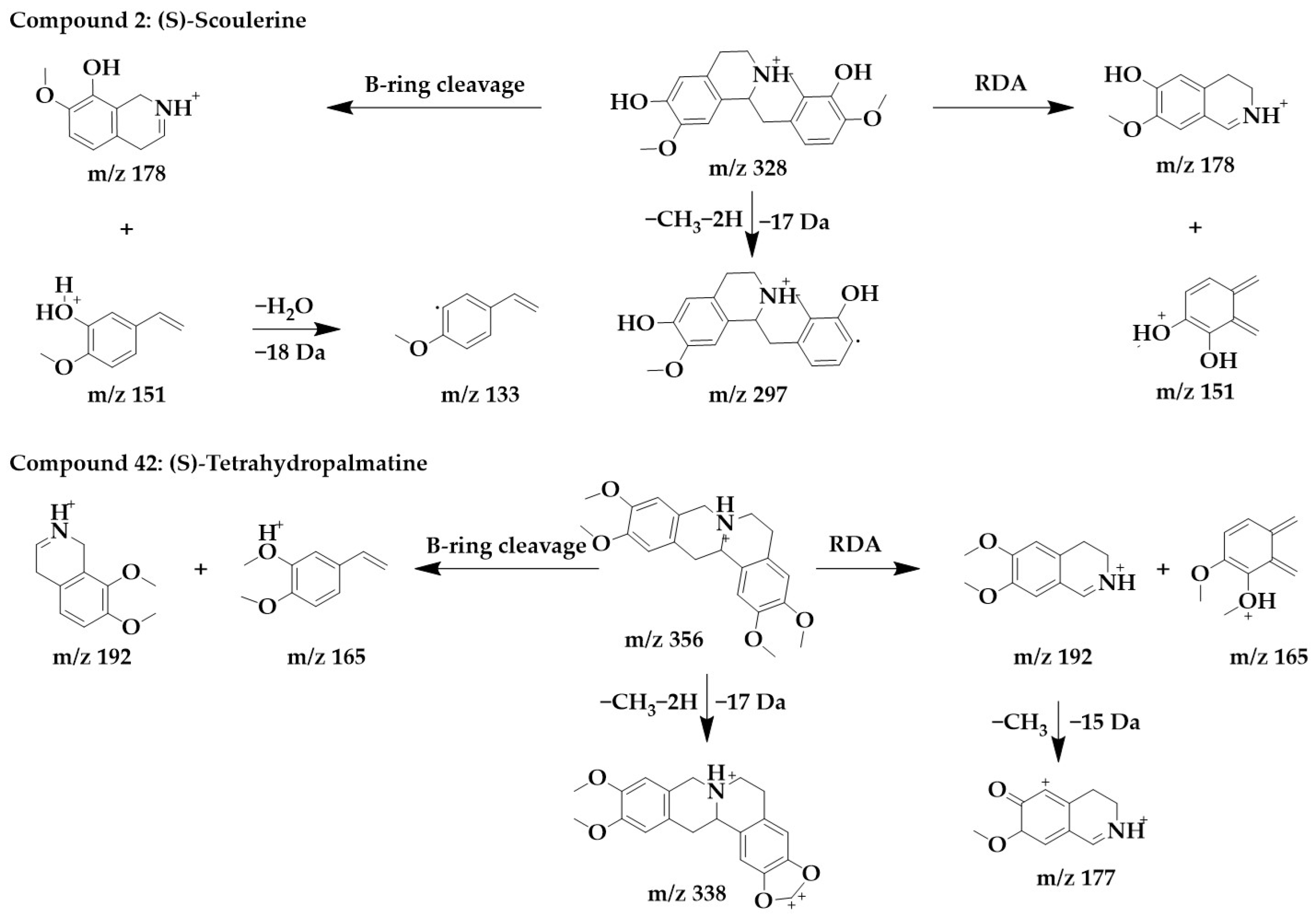 Ijms 24 07972 g006 Ijms 24 07972 g006