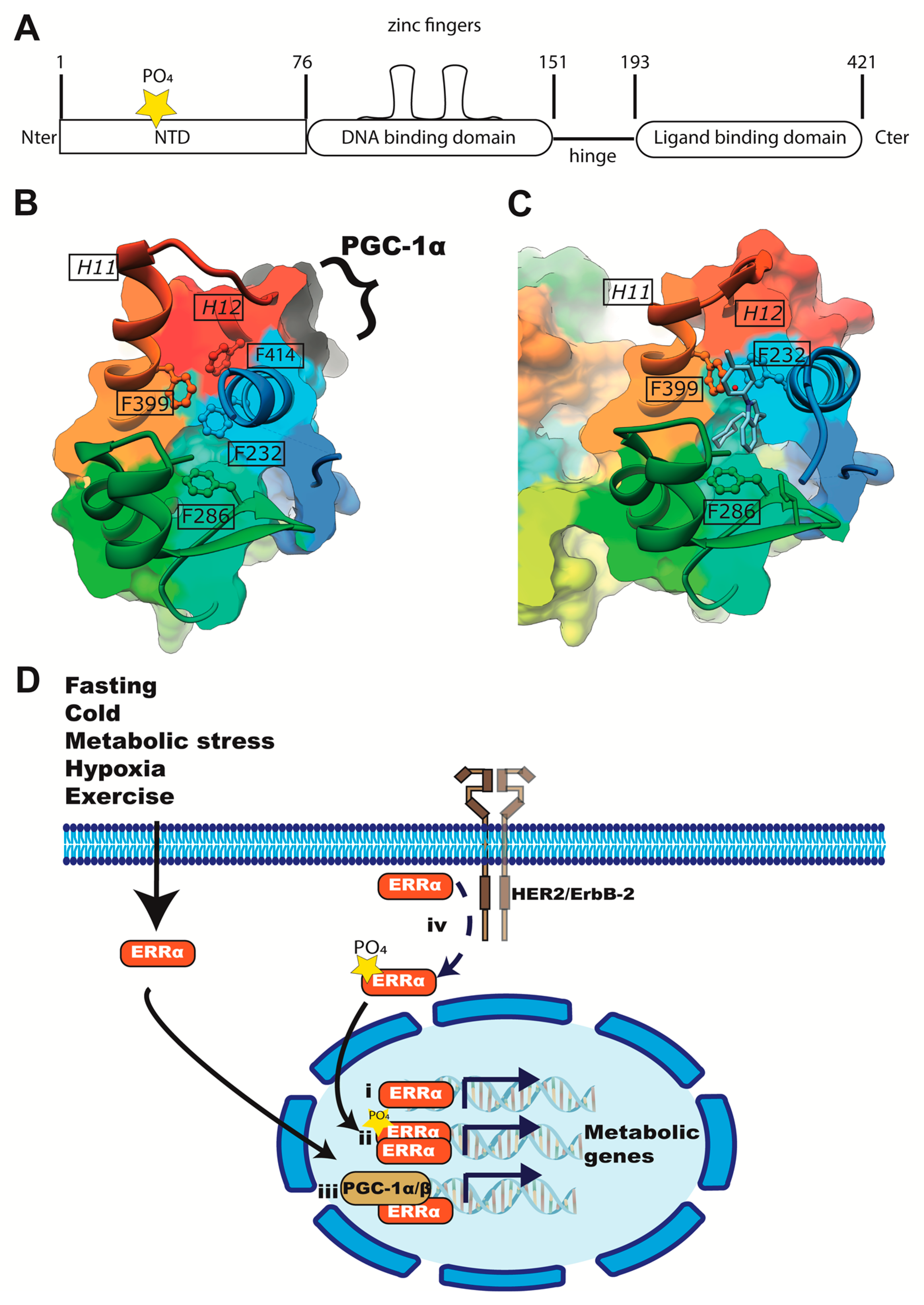 Ijms 24 07983 g001 Ijms 24 07983 g001