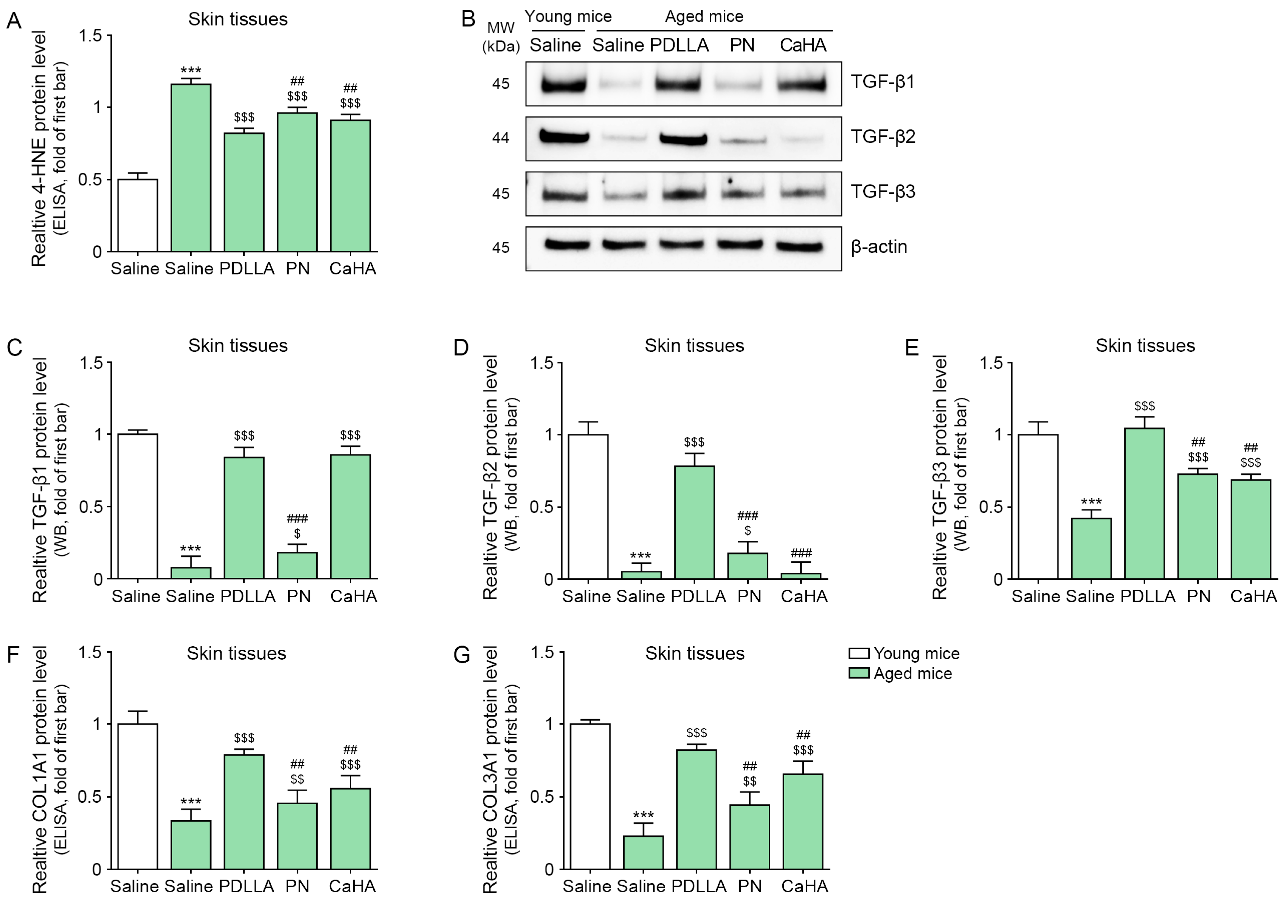 Ijms 24 07986 g003 Ijms 24 07986 g003