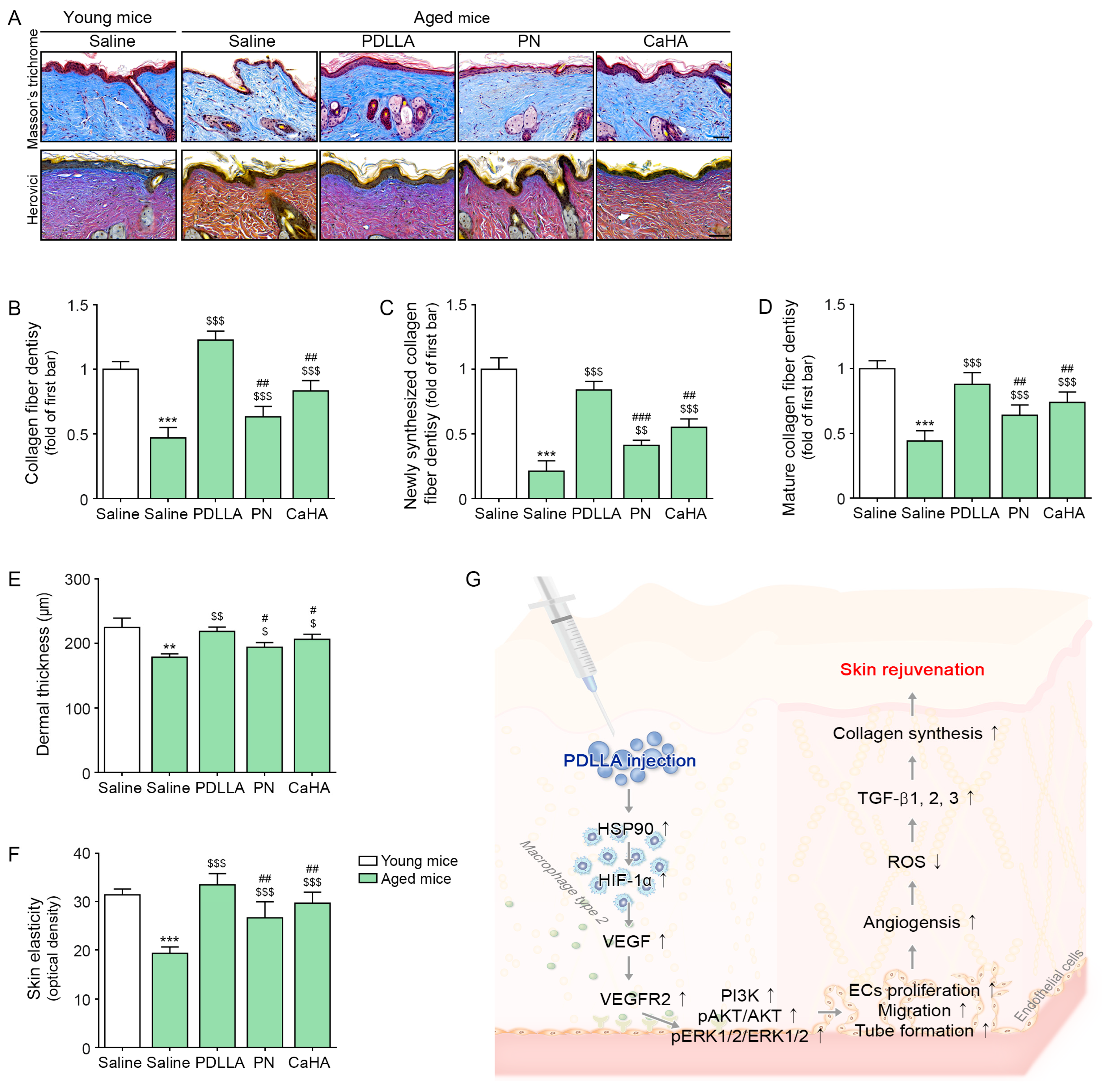 Ijms 24 07986 g004 Ijms 24 07986 g004
