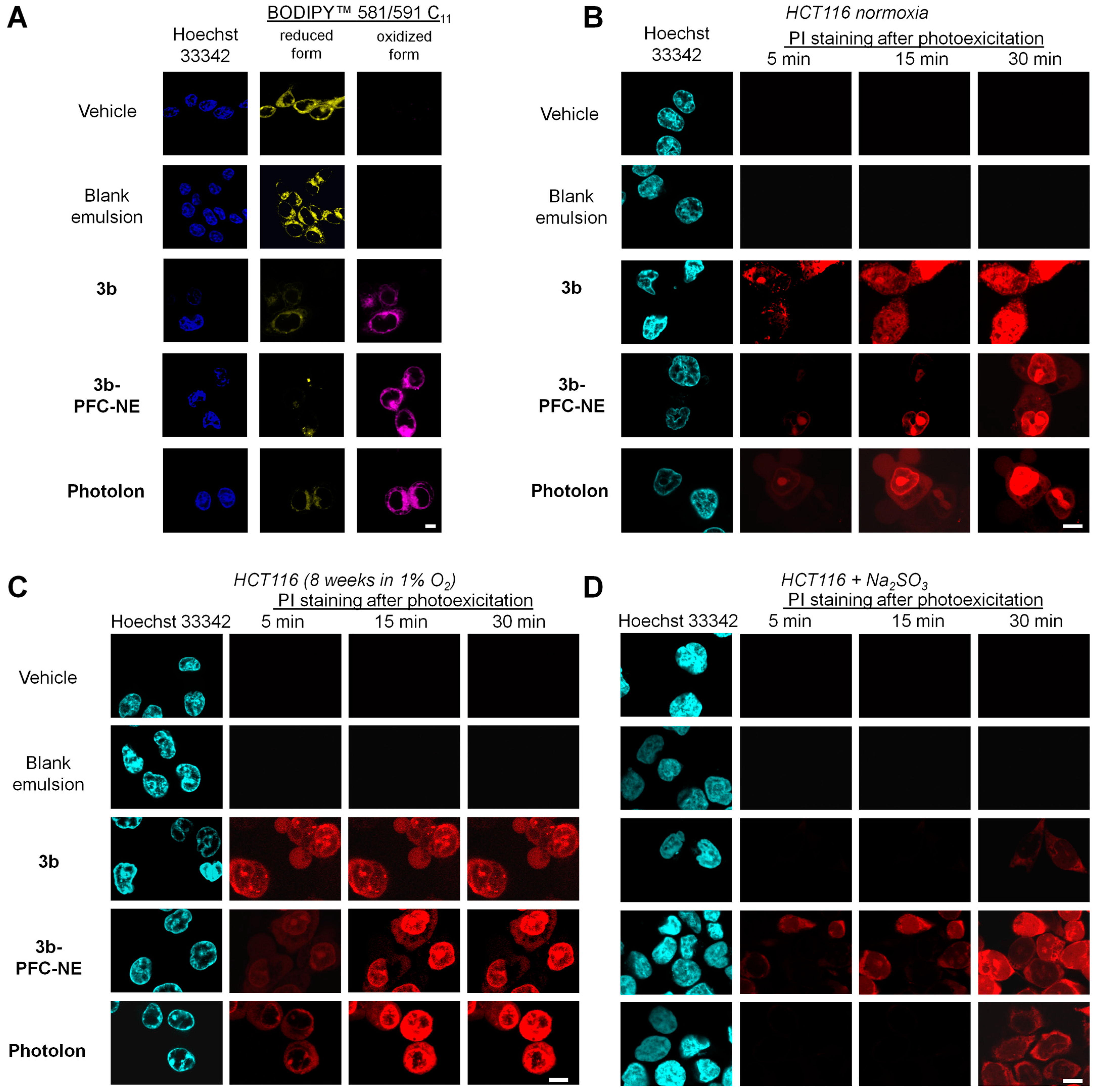 Ijms 24 07995 g008 Ijms 24 07995 g008