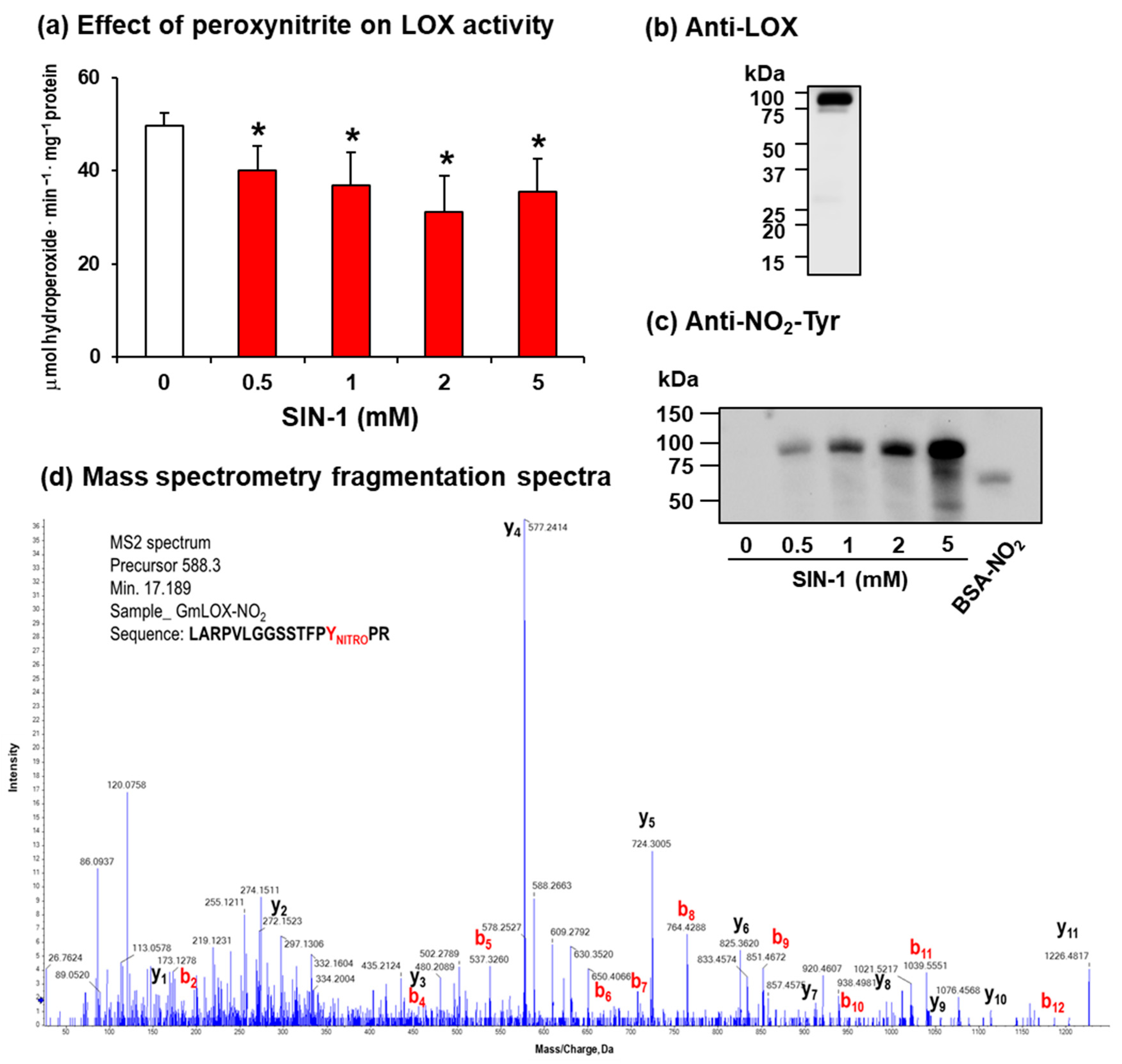 Ijms 24 08001 g002 Ijms 24 08001 g002