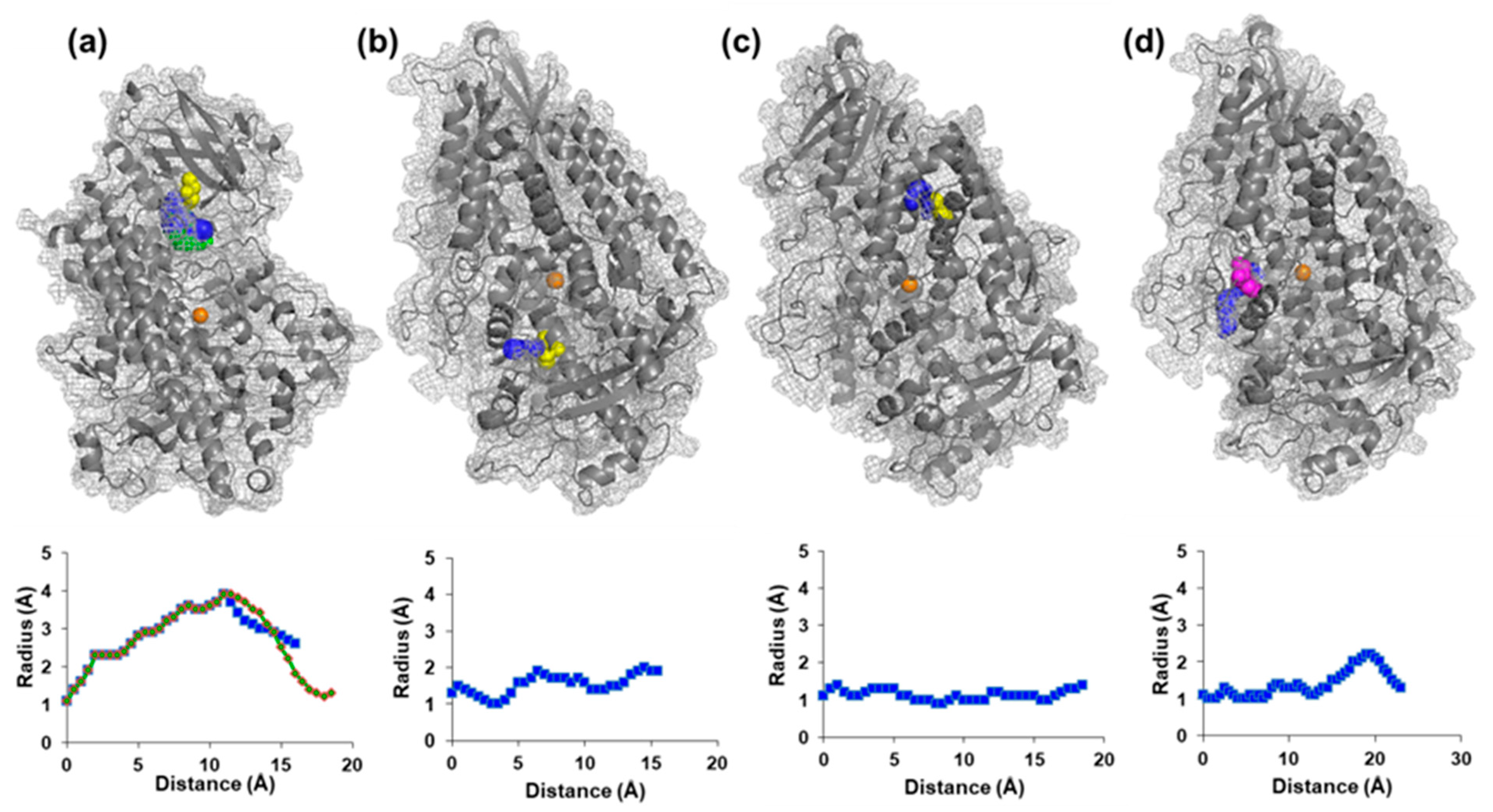 Ijms 24 08001 g003 Ijms 24 08001 g003