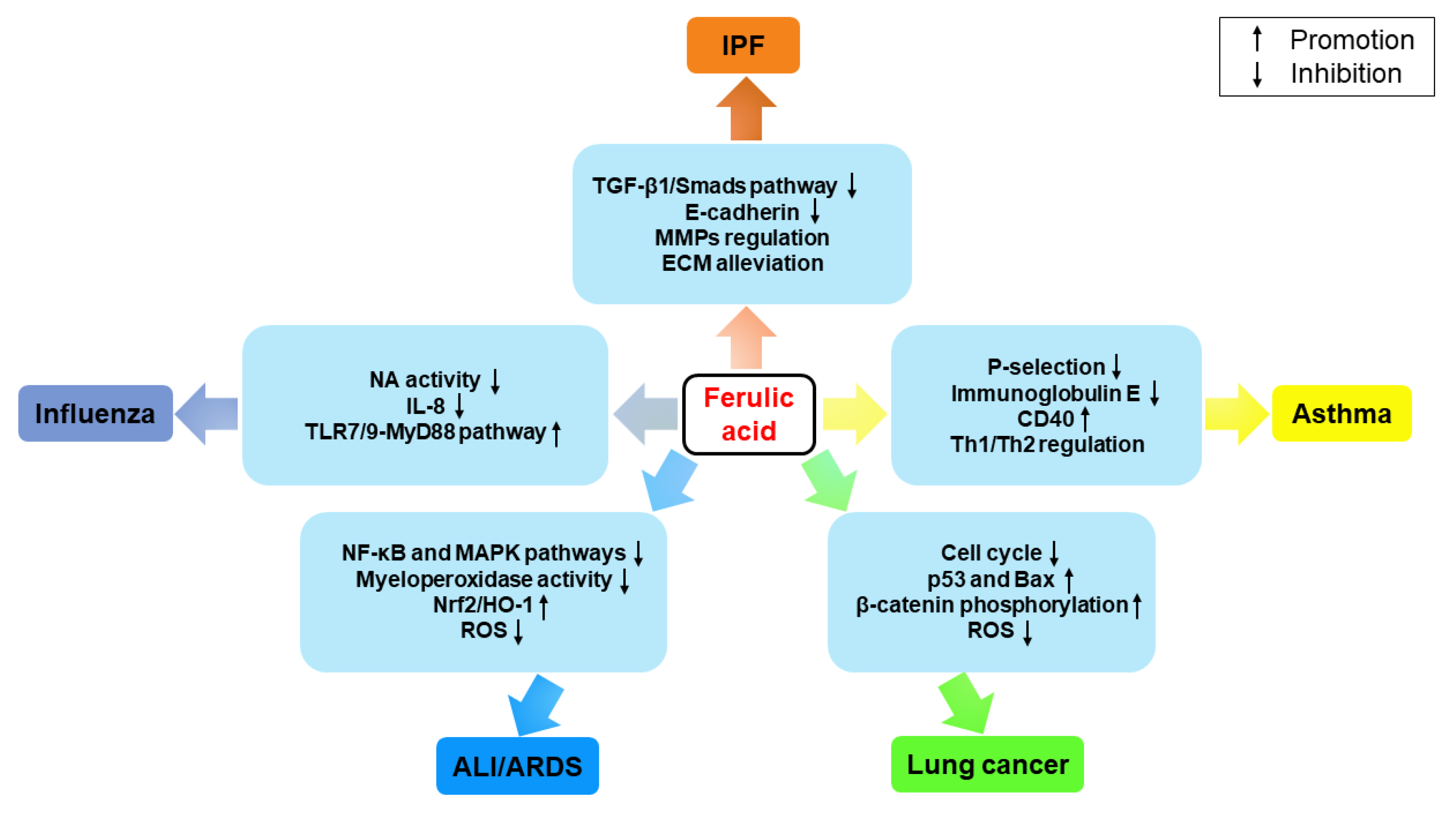 Ijms 24 08011 g003 Ijms 24 08011 g003