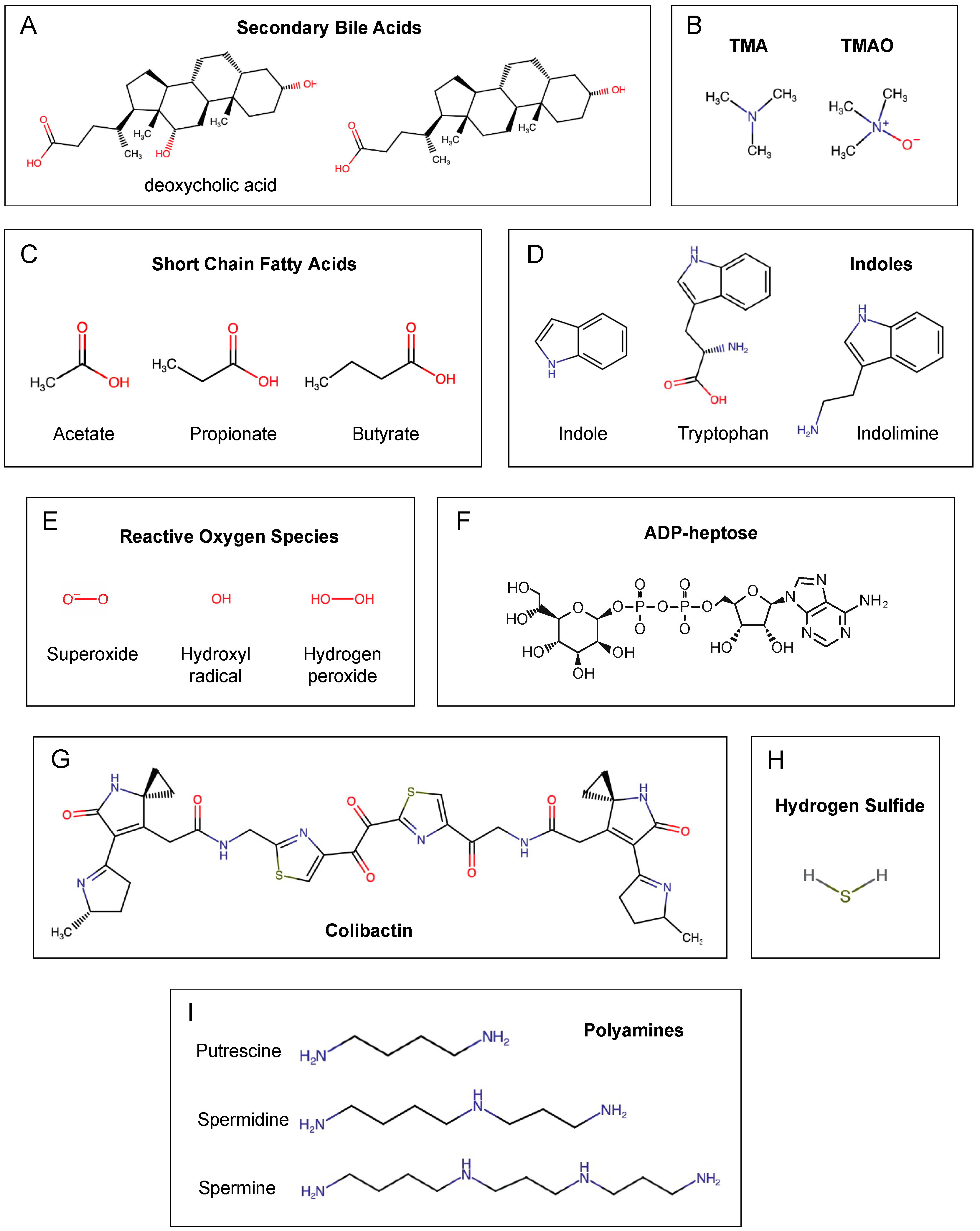 IJMS | Free Full-Text | The Role of Microbiota-Derived Metabolites in  Colorectal Cancer