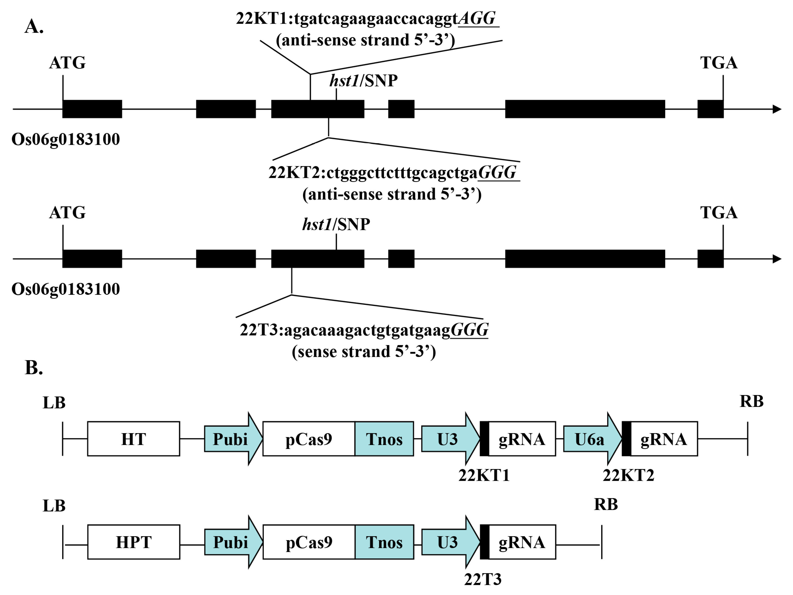 Ijms 24 08025 g001 Ijms 24 08025 g001